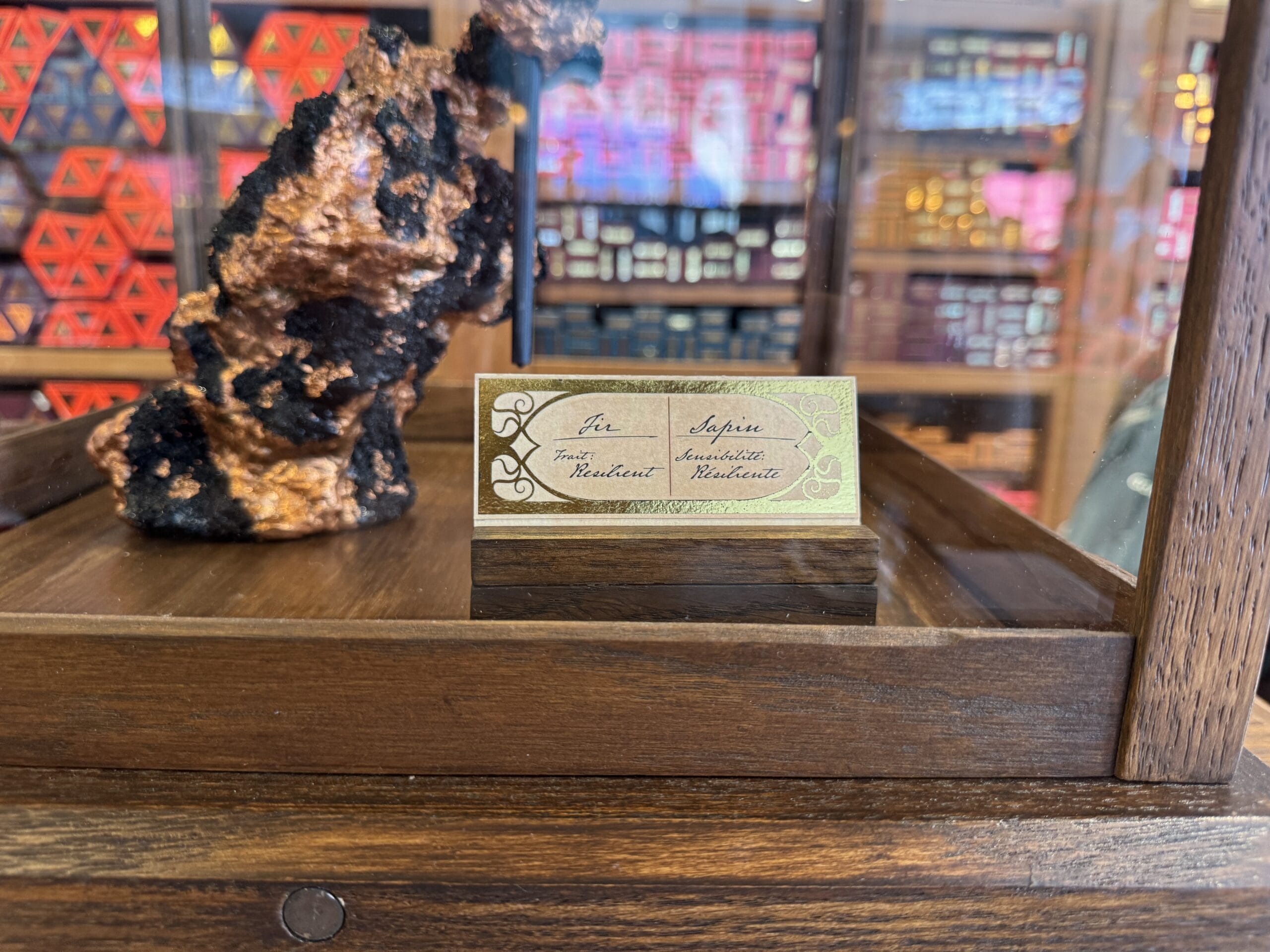 A gold placard labeled "Sopka" sits on a wooden stand beside Cosme Acajor’s Baguettes Magique mineral in a glass case.