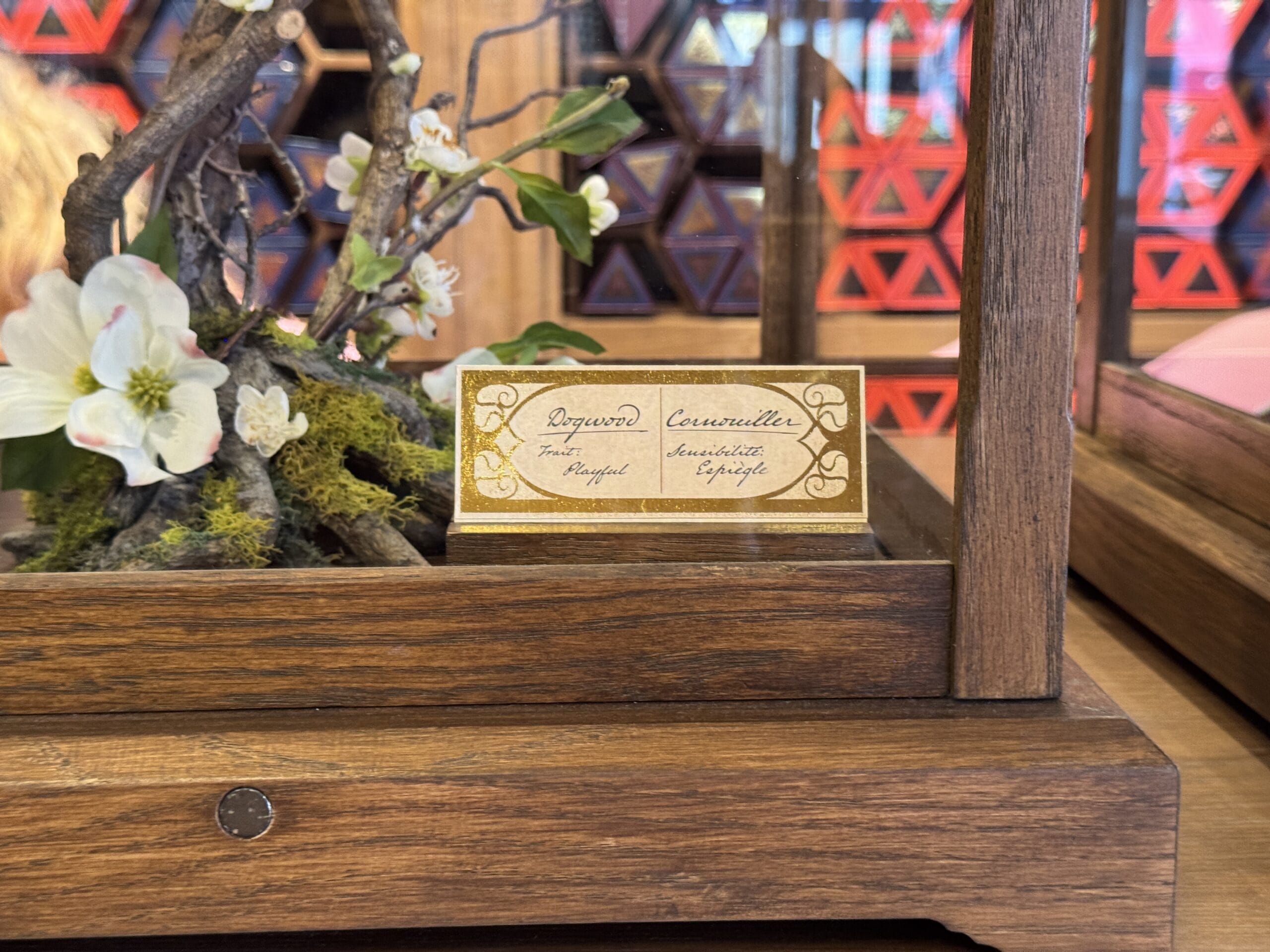 A gold label in a wooden case reads “Dogwood Cornus nuttallii, Cosme Acajor Baguettes Magique, Sweetness & Grateful.”