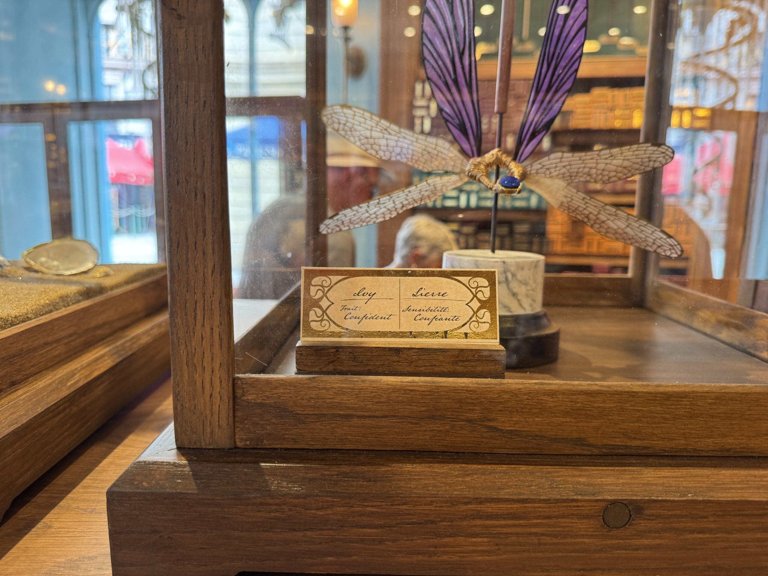 A glass display case with a large dragonfly model and a card reading "Dragonfly," "Libellule," and Cosme Acajor.