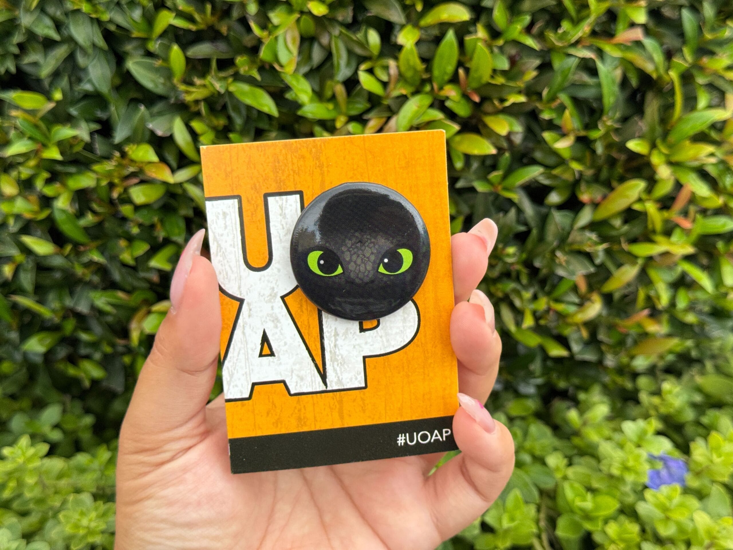 A hand holding a card with a cat face on it, perfect for any Universal Studios Orlando fan.