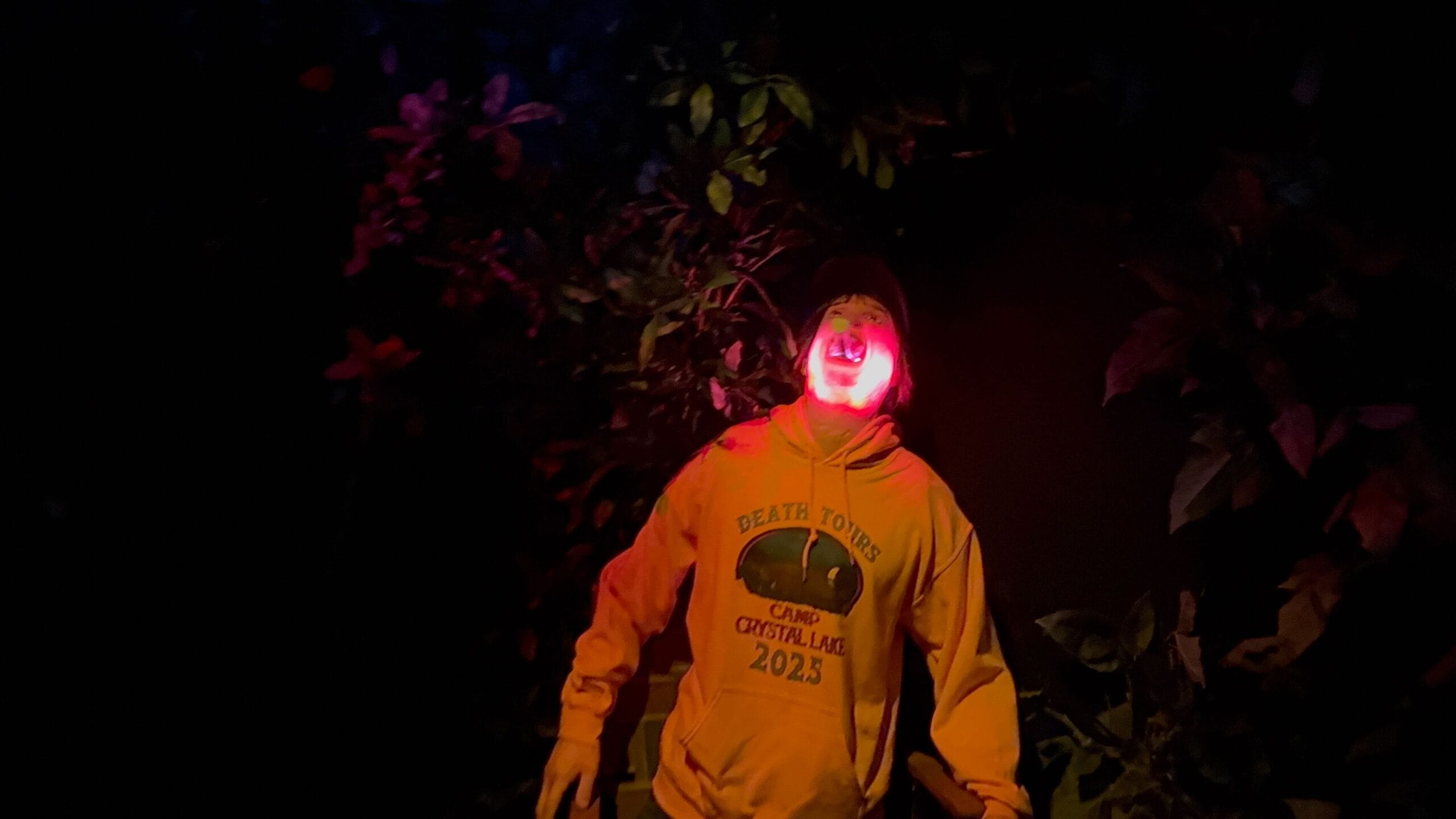 Person in a yellow hoodie glowing red in the dark, surrounded by leafy branches.