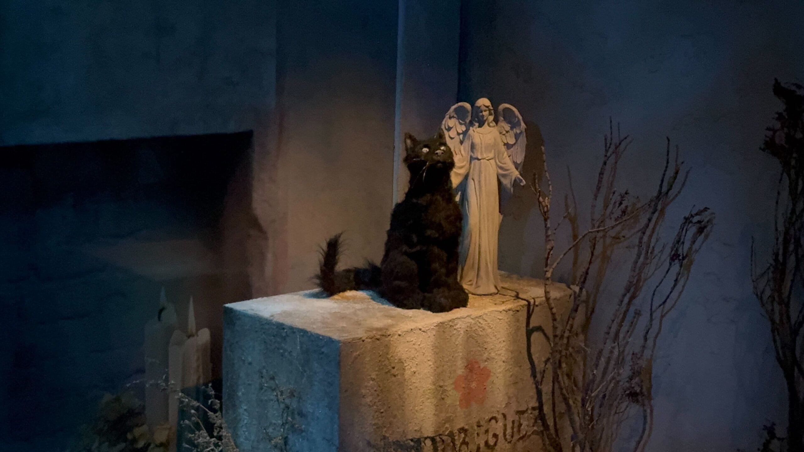 A black cat sits on a stone tomb by a white angel statue—an eerie scene inspired by HHN 2025 at USH.