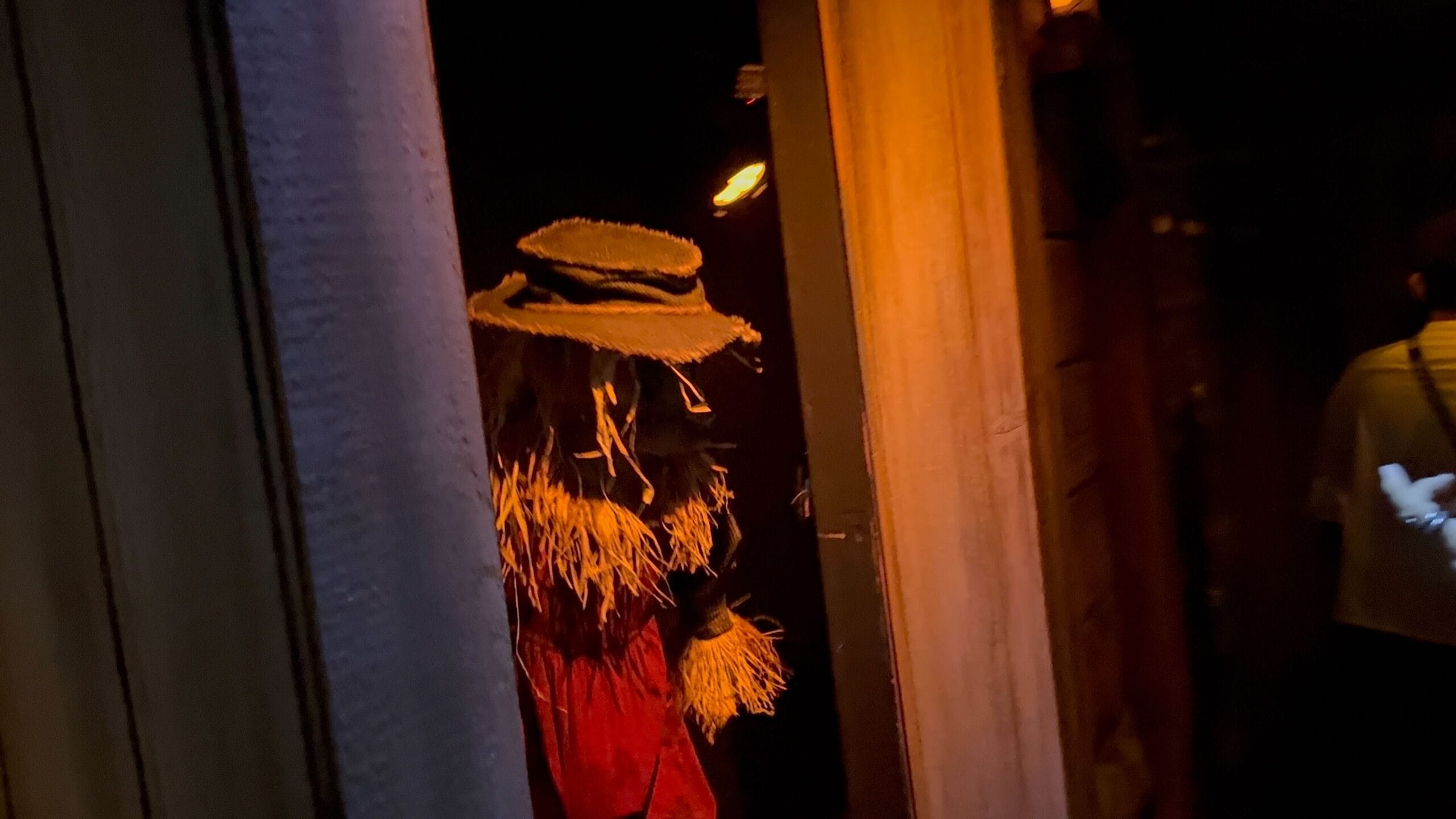 Una figura con un sombrero de paja y un atuendo rojo con mangas de paja se encuentra en un pasillo estrecho y poco iluminado.