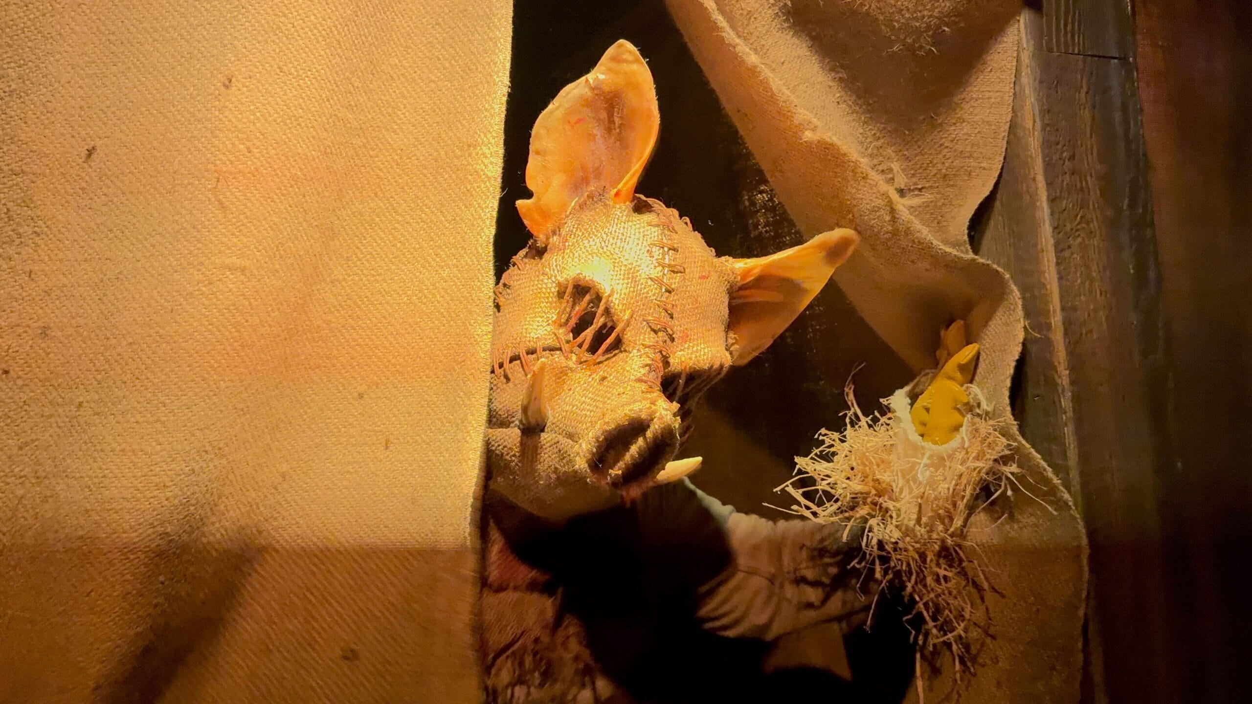 Un títere animal de tela con orejas grandes se asoma por detrás de una cortina de arpillera, sosteniendo paja en una mano.
