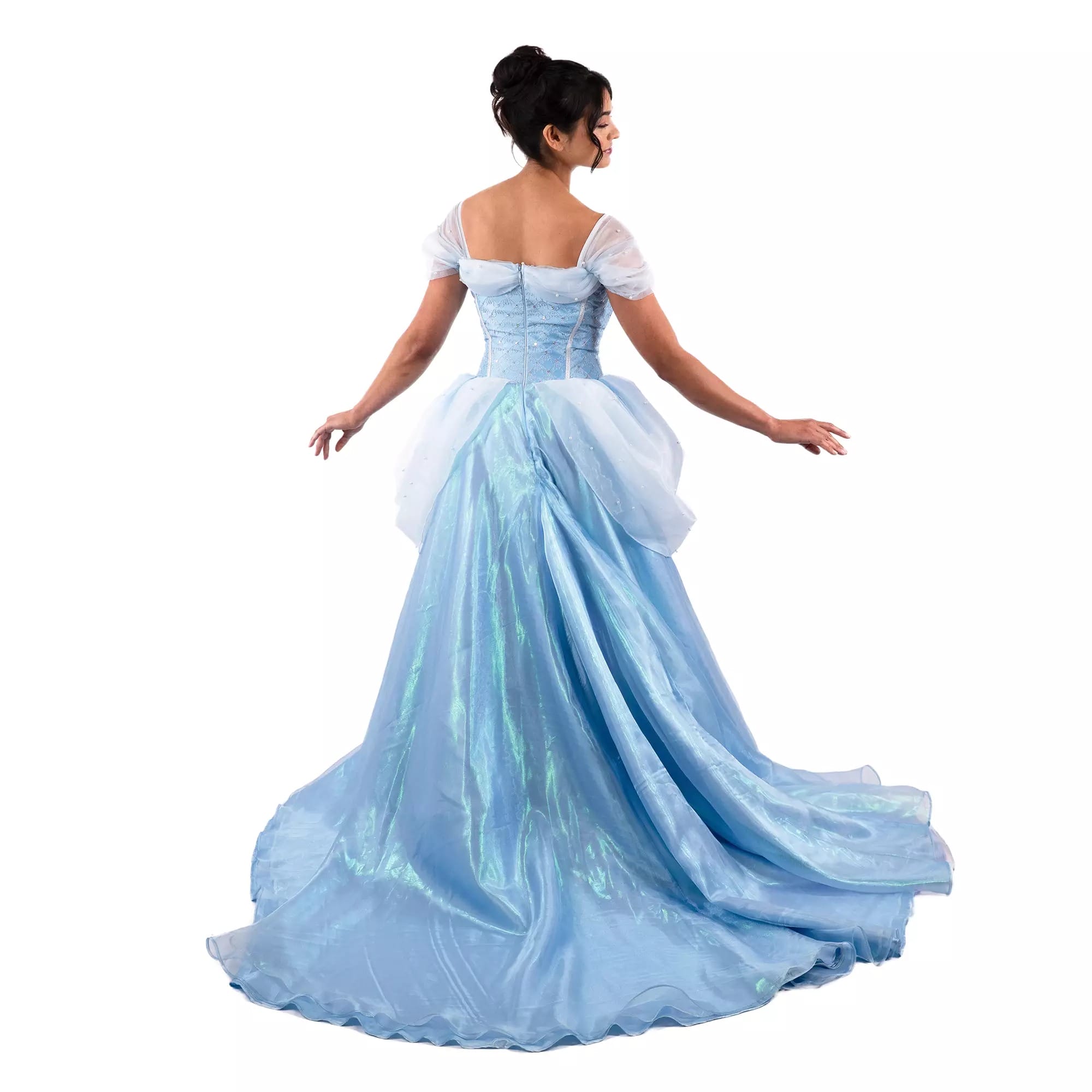 Woman in a light blue Disney Costumes ball gown with off-shoulder sleeves, seen from behind against a white background.