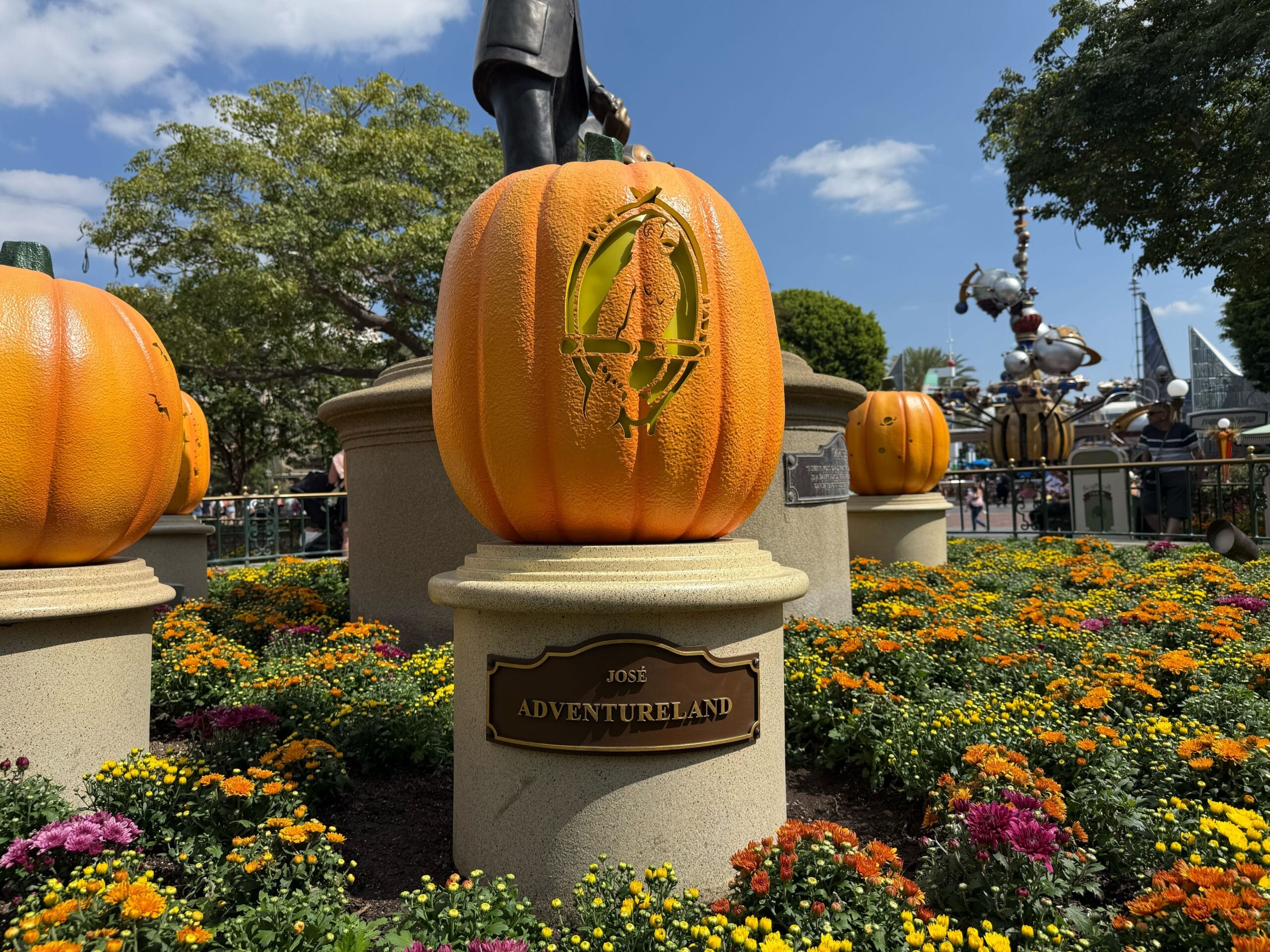 Large orange pumpkin with a parrot carving, labeled "Adventureland," surrounded by yellow and orange flowers.