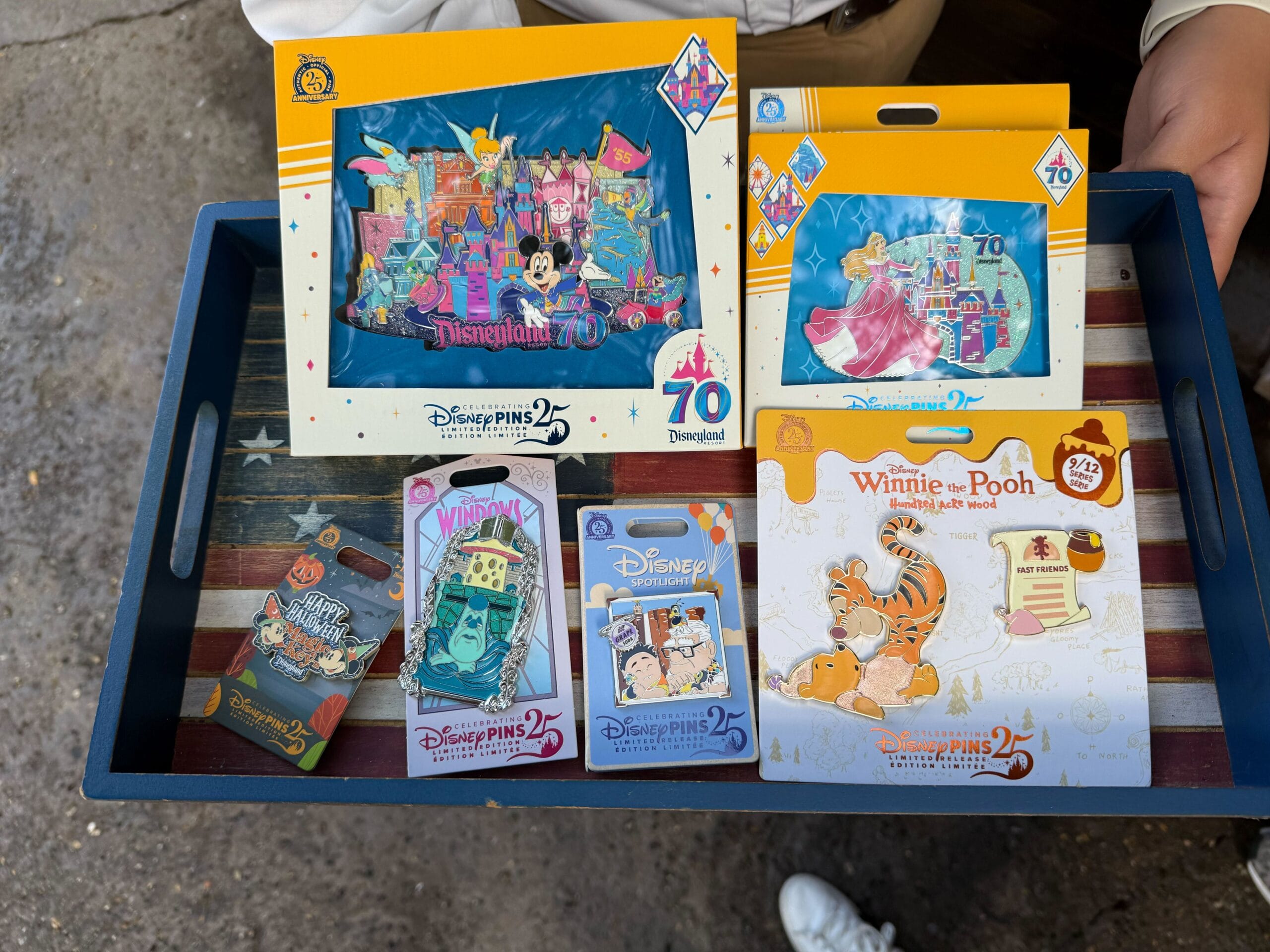 A tray holds six Disneyland pins sets featuring characters like Winnie the Pooh, Princess Aurora, and Mickey Mouse.