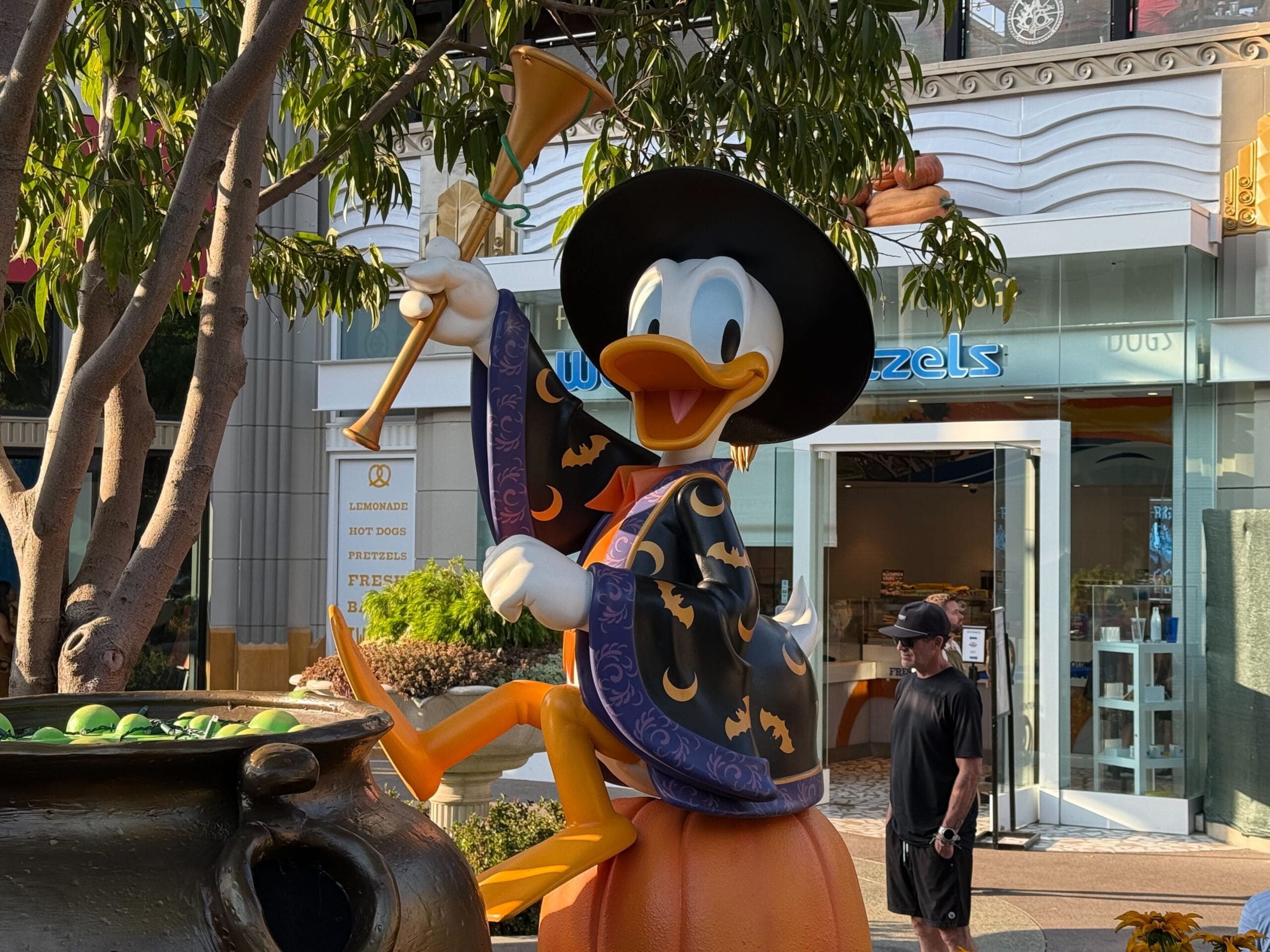 Donald Duck in a witch costume stirs a cauldron on a pumpkin, welcoming guests to Halloween at Disneyland 2025.