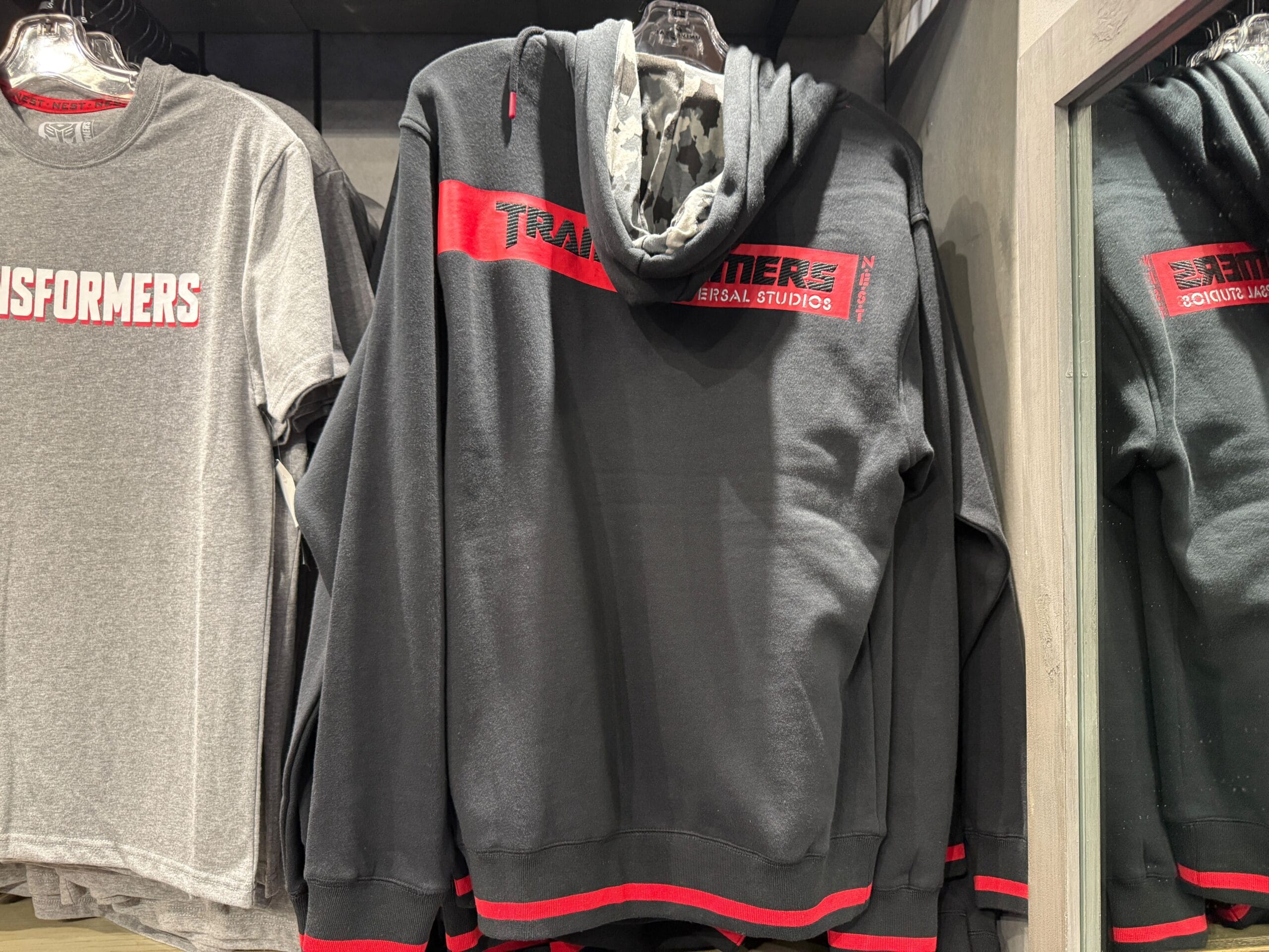 A sweatshirts on a swinger