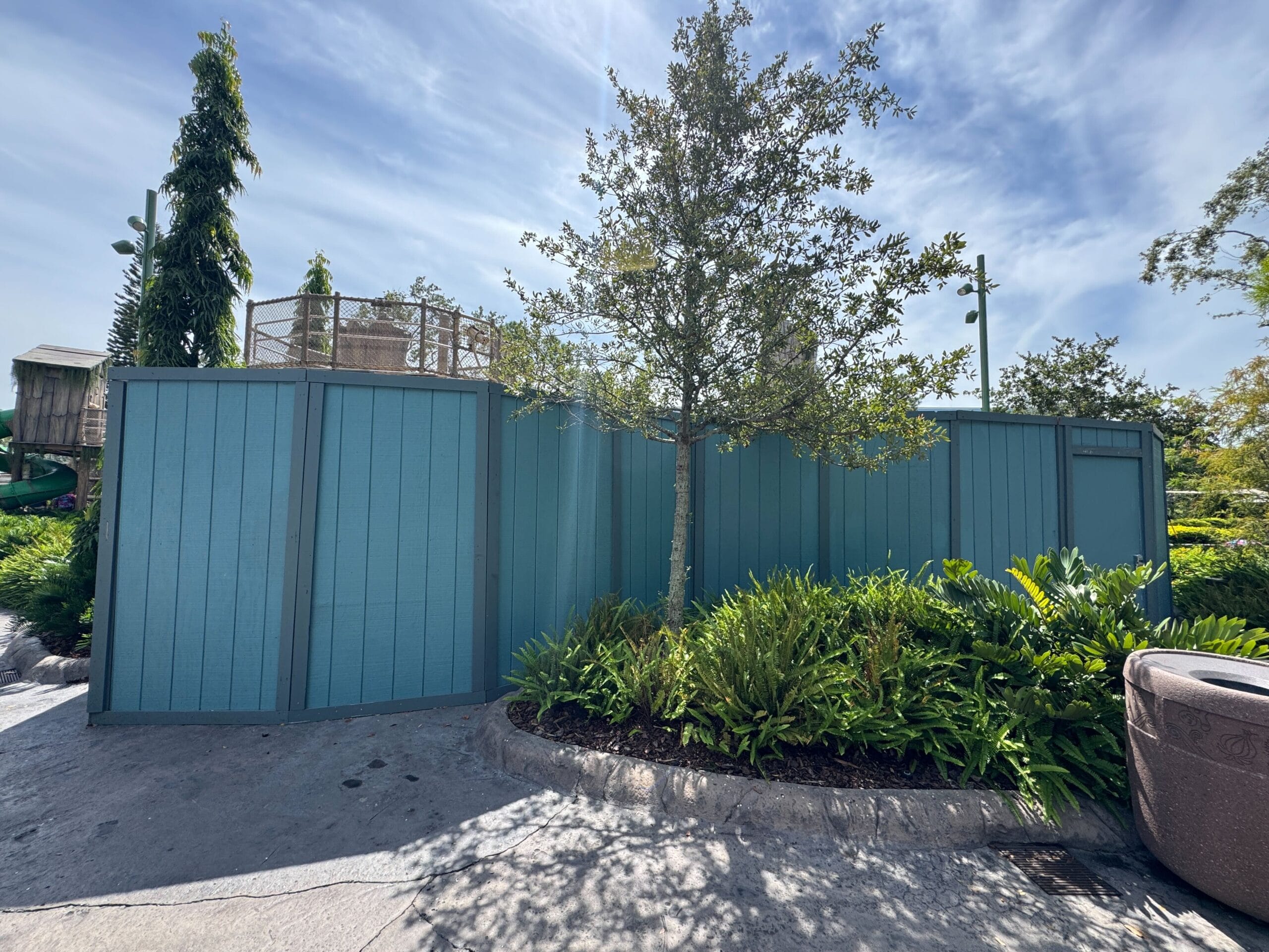 A blue construction wall surrounds a tree near the future Shrek Swamp Splash Pad at Universal Studios Florida.