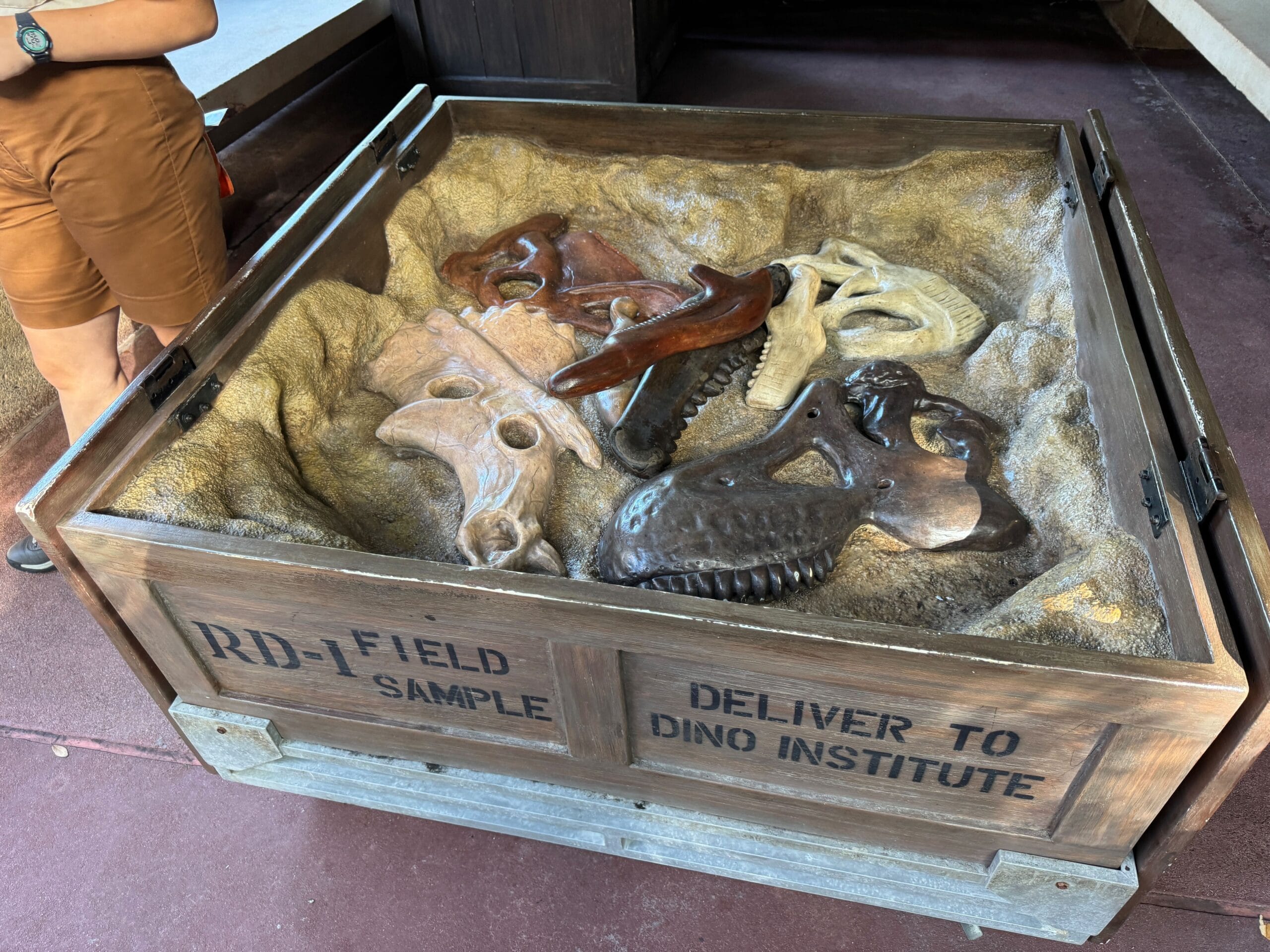 A wooden crate filled with replica dinosaur skulls labeled "RD-1 FIELD SAMPLE" and "DELIVER TO DINO INSTITUTE.