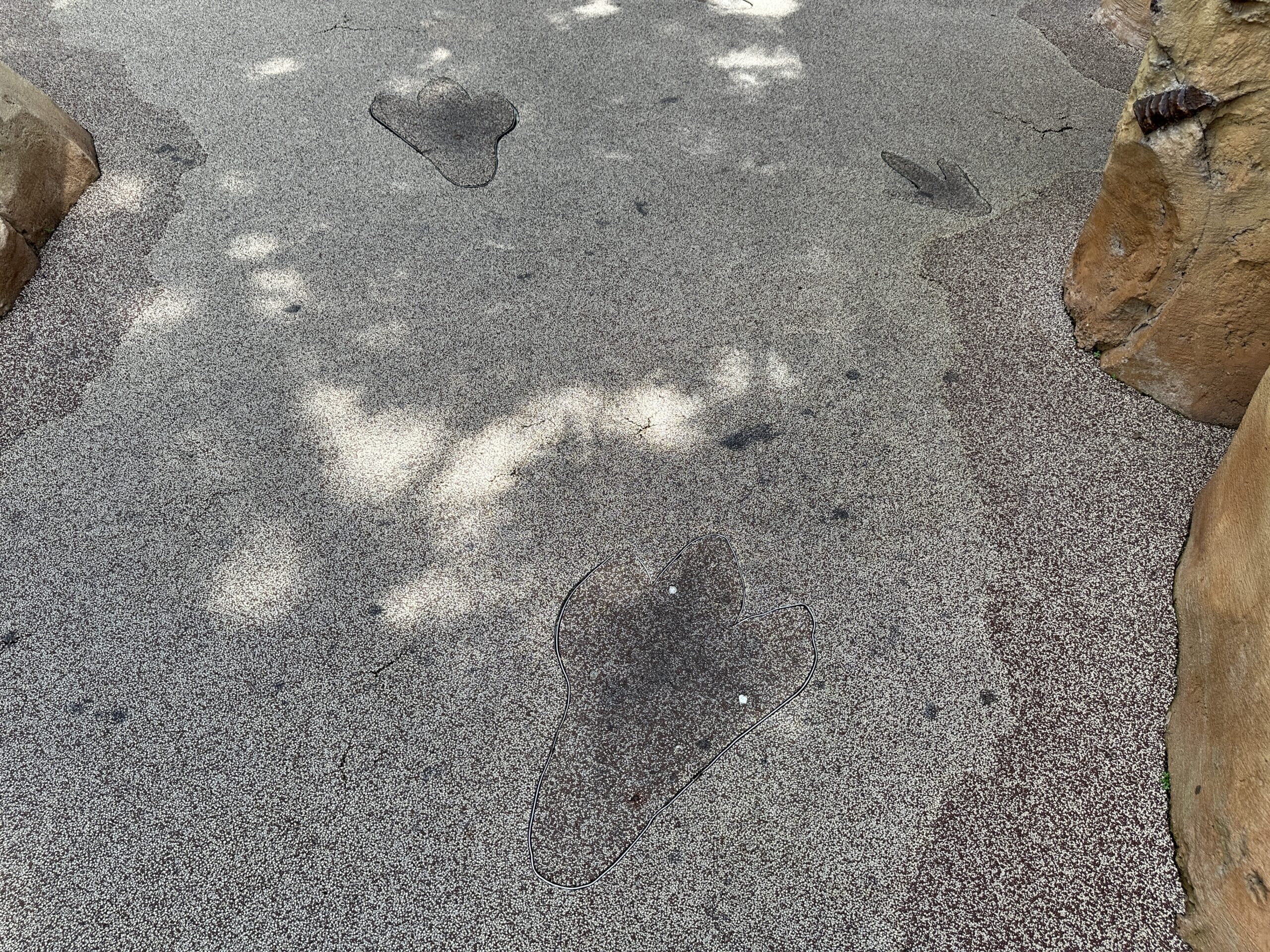 Dinosaur footprint shapes embedded in a textured walkway surrounded by artificial rocks and dappled sunlight.
