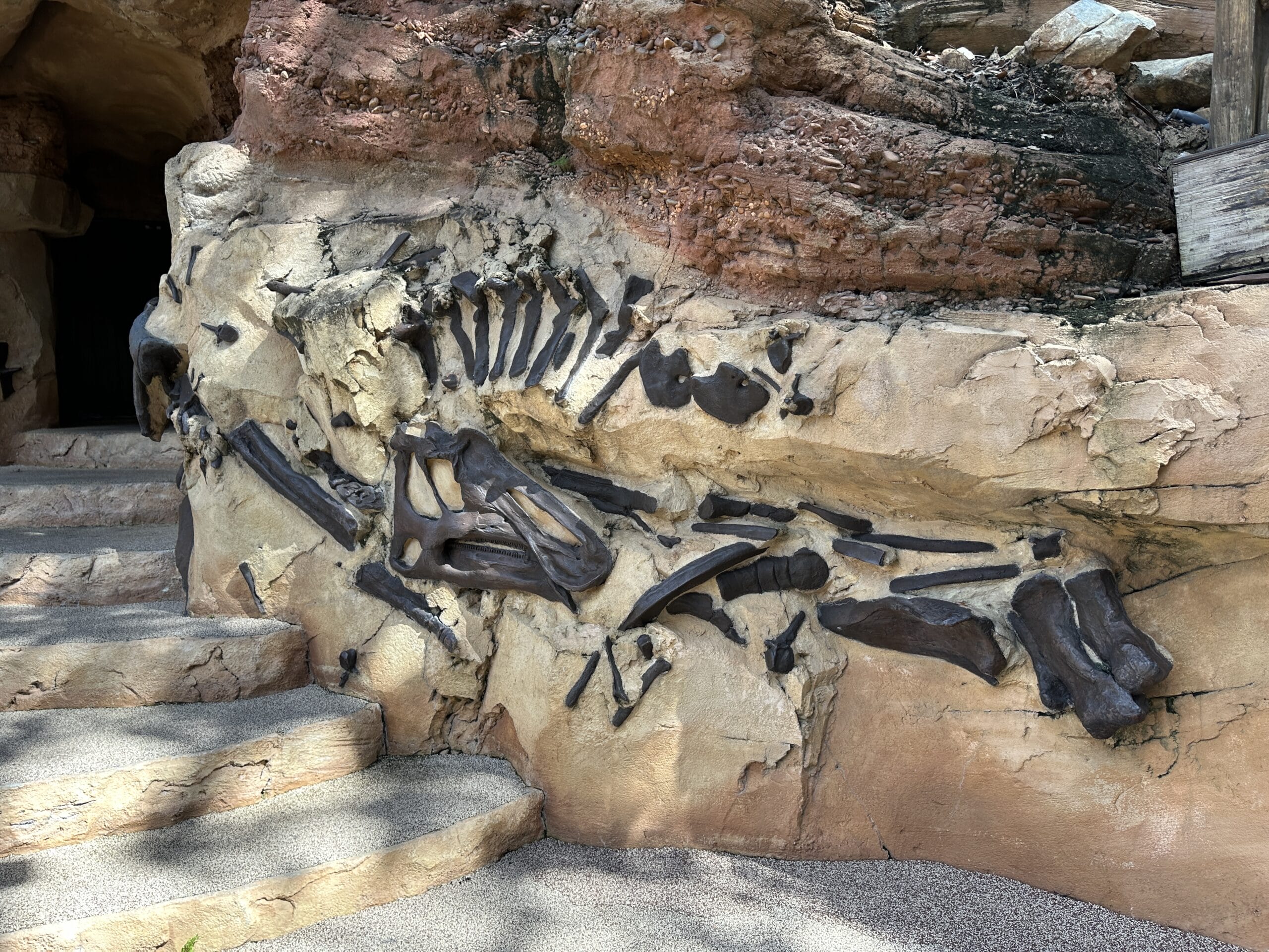 Dinosaur fossil embedded in a rock wall beside stone steps in an outdoor setting.