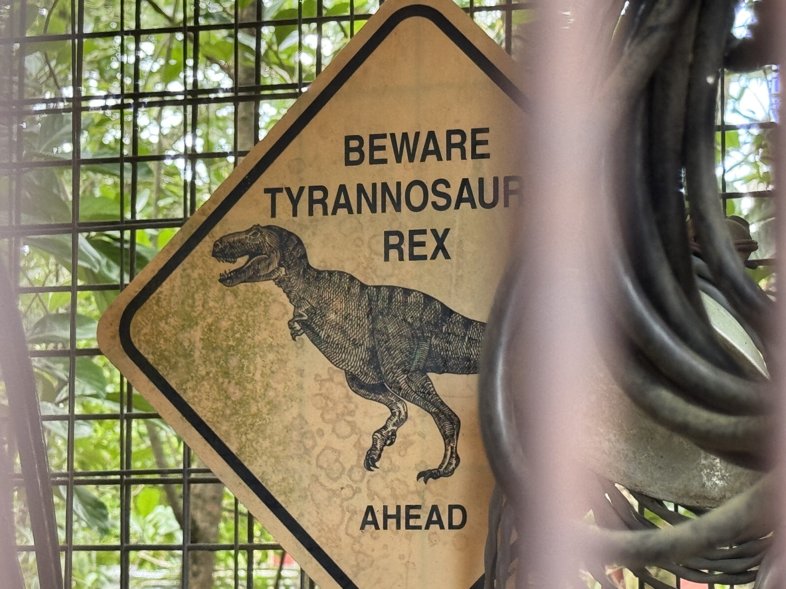 Yellow sign at The Boneyard in Disney's Animal Kingdom warns: "Beware Tyrannosaur Rex Ahead" with T. rex behind a wire fence.