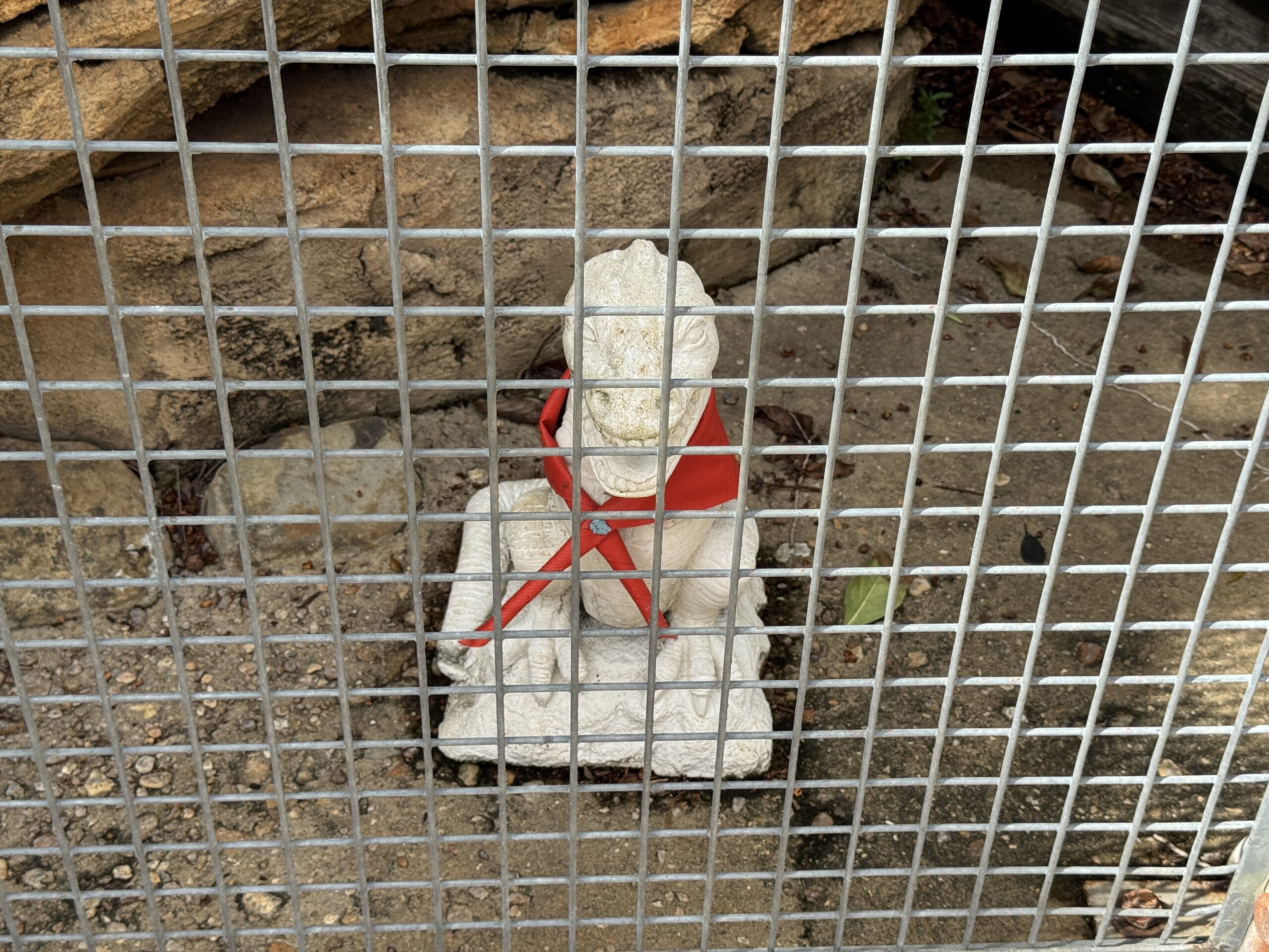 Small stone lion statue with a red ribbon, seen behind a metal grid fence at The Boneyard in Disney's Animal Kingdom.
