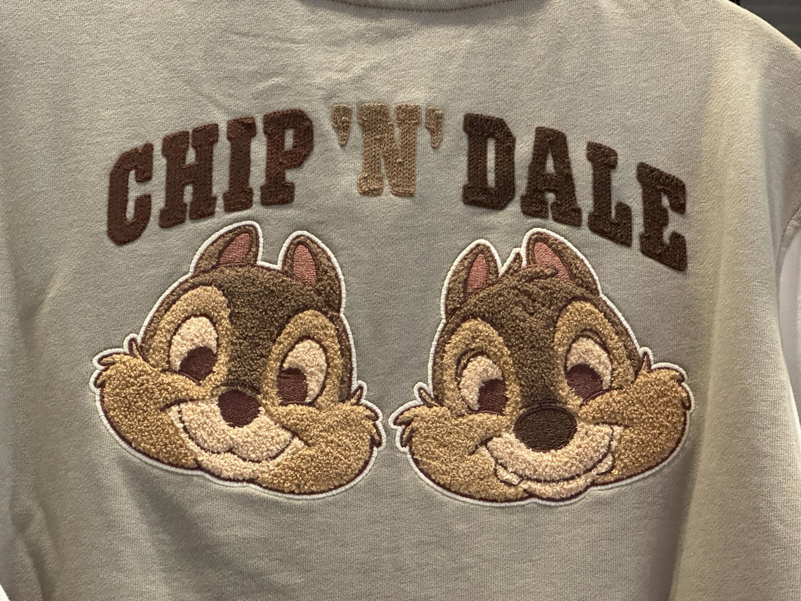 Two smiling cartoon chipmunks with "CHIP 'N' DALE" above, styled like Disney Letterman Jackets.