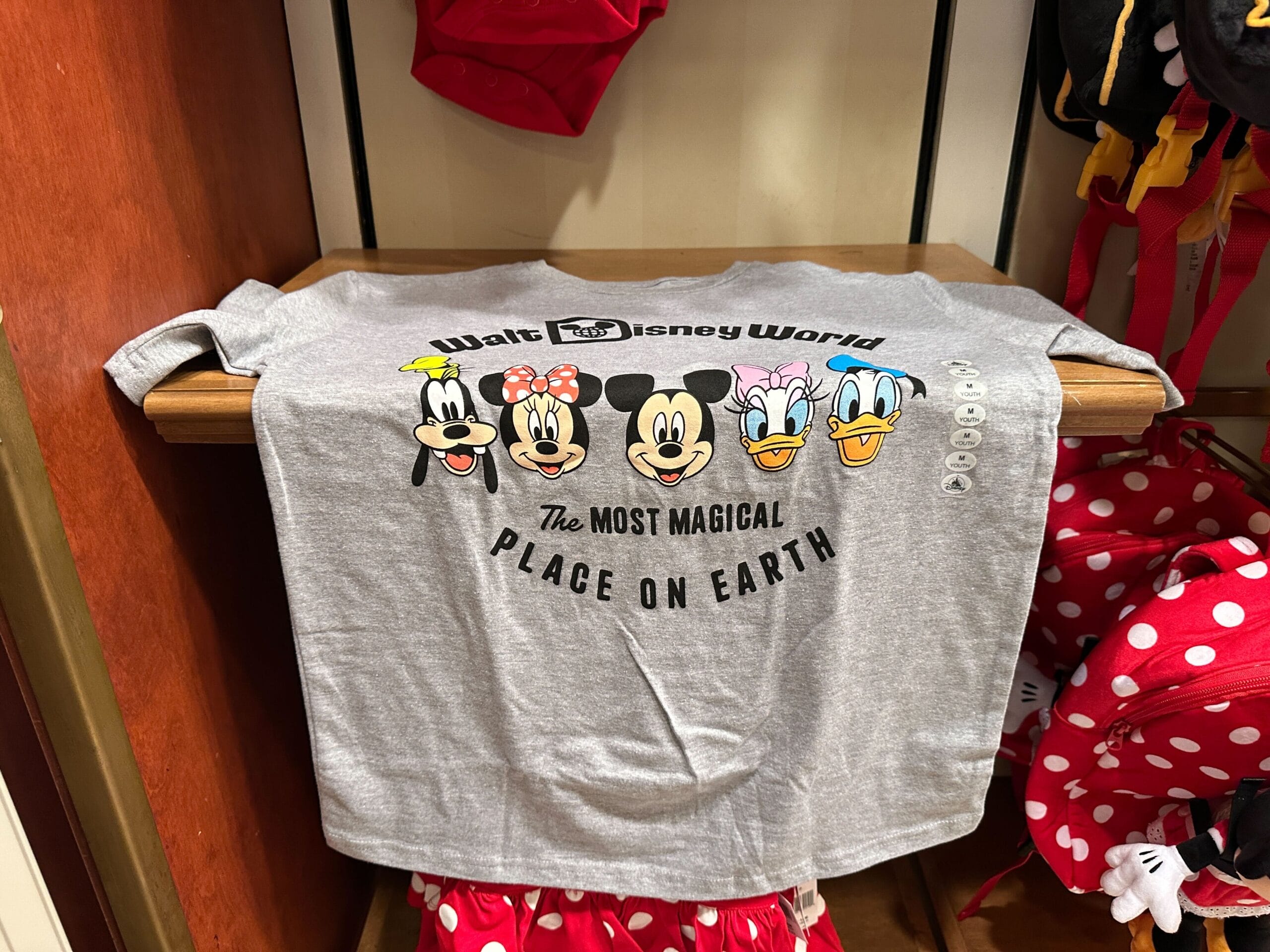 Gray Walt Disney World shirt featuring Goofy, Minnie, Mickey, Daisy, and Donald with the words "The Most Magical Place on Earth.
