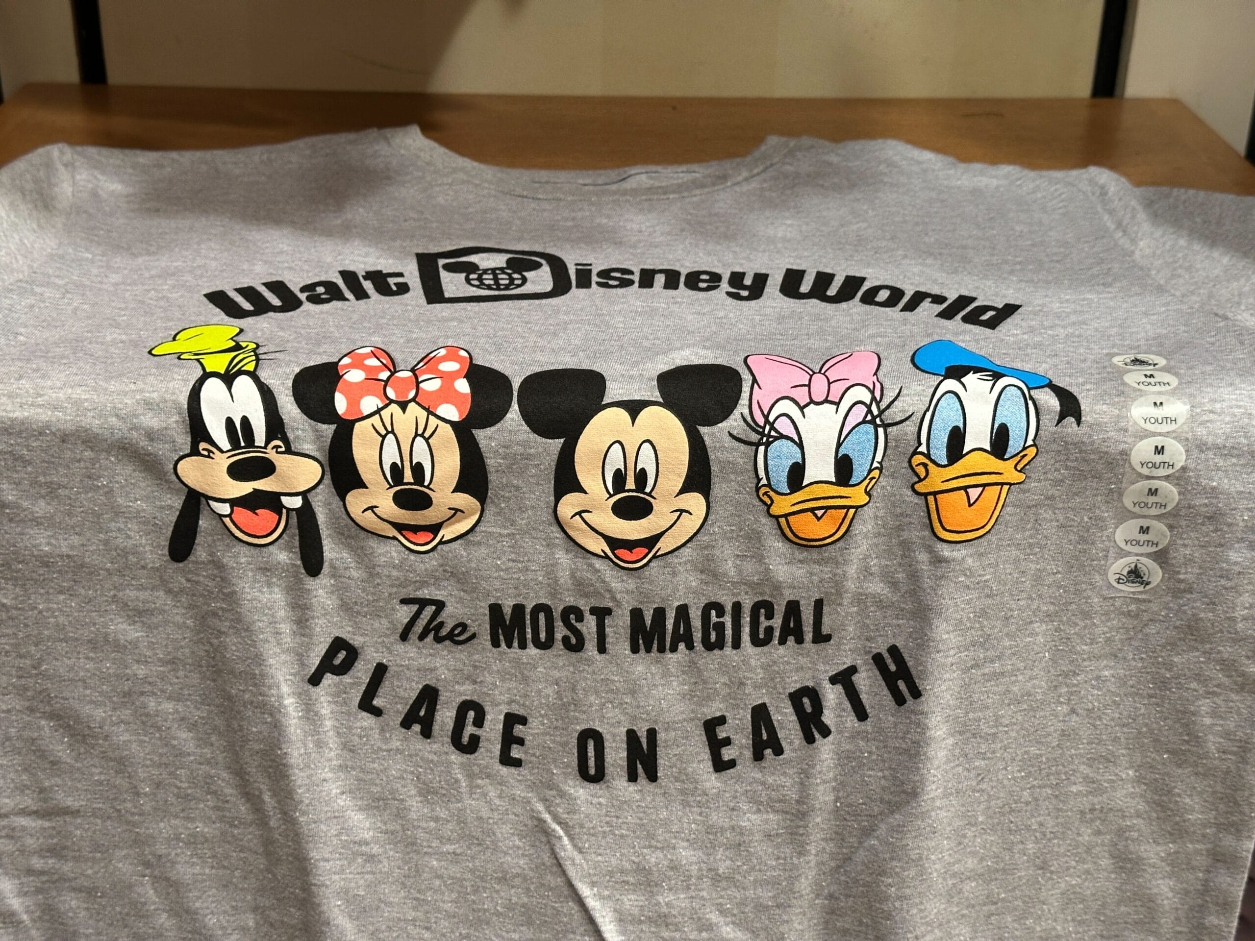 Gray T-shirt with Goofy, Minnie, Mickey, Daisy, and Donald and text: "Walt Disney World The Most Magical Place On Earth.