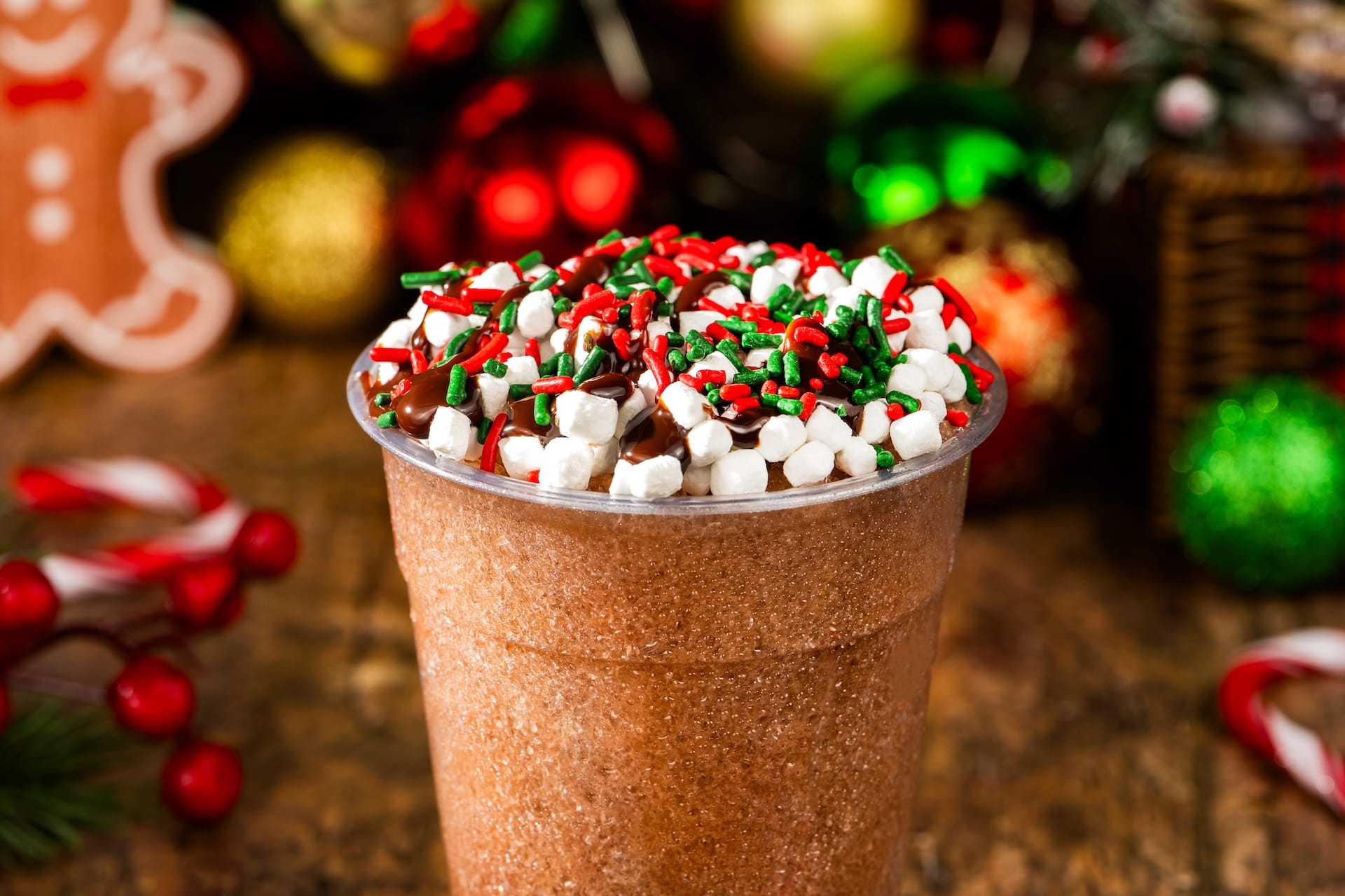 Festive frozen chocolate drink from Disney Parks' 2025 menu, topped with mini marshmallows, chocolate syrup, and sprinkles.