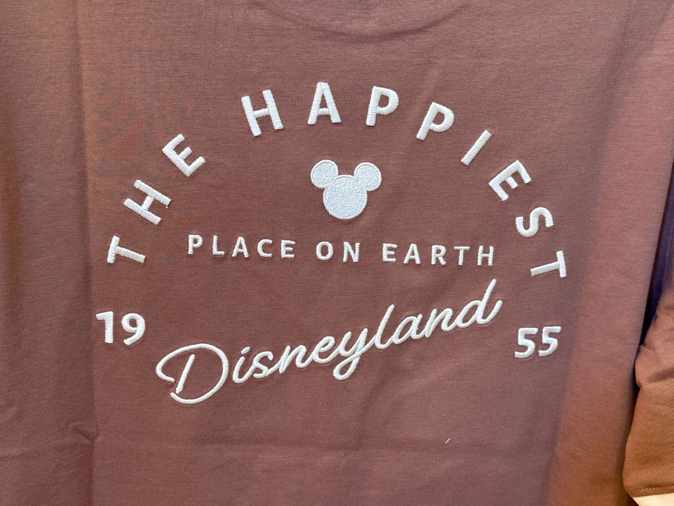 Brown Disneyland shirt with white text and classic Mickey Mouse icon, reminiscent of souvenirs found across global Disney Parks.