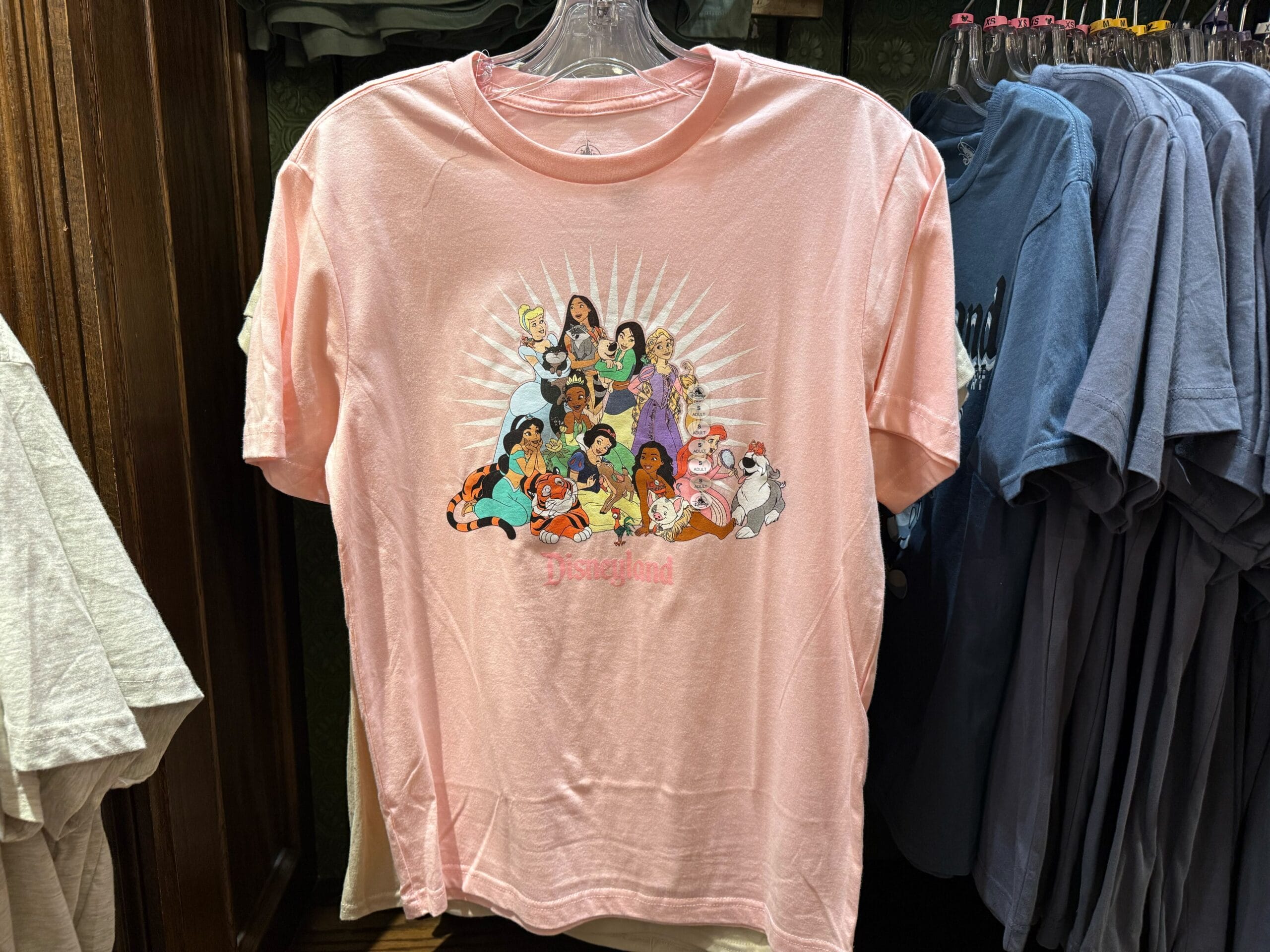 Pink tee featuring a group of Disney princesses and characters, similar to those seen at Disney Parks, displayed on a rack.