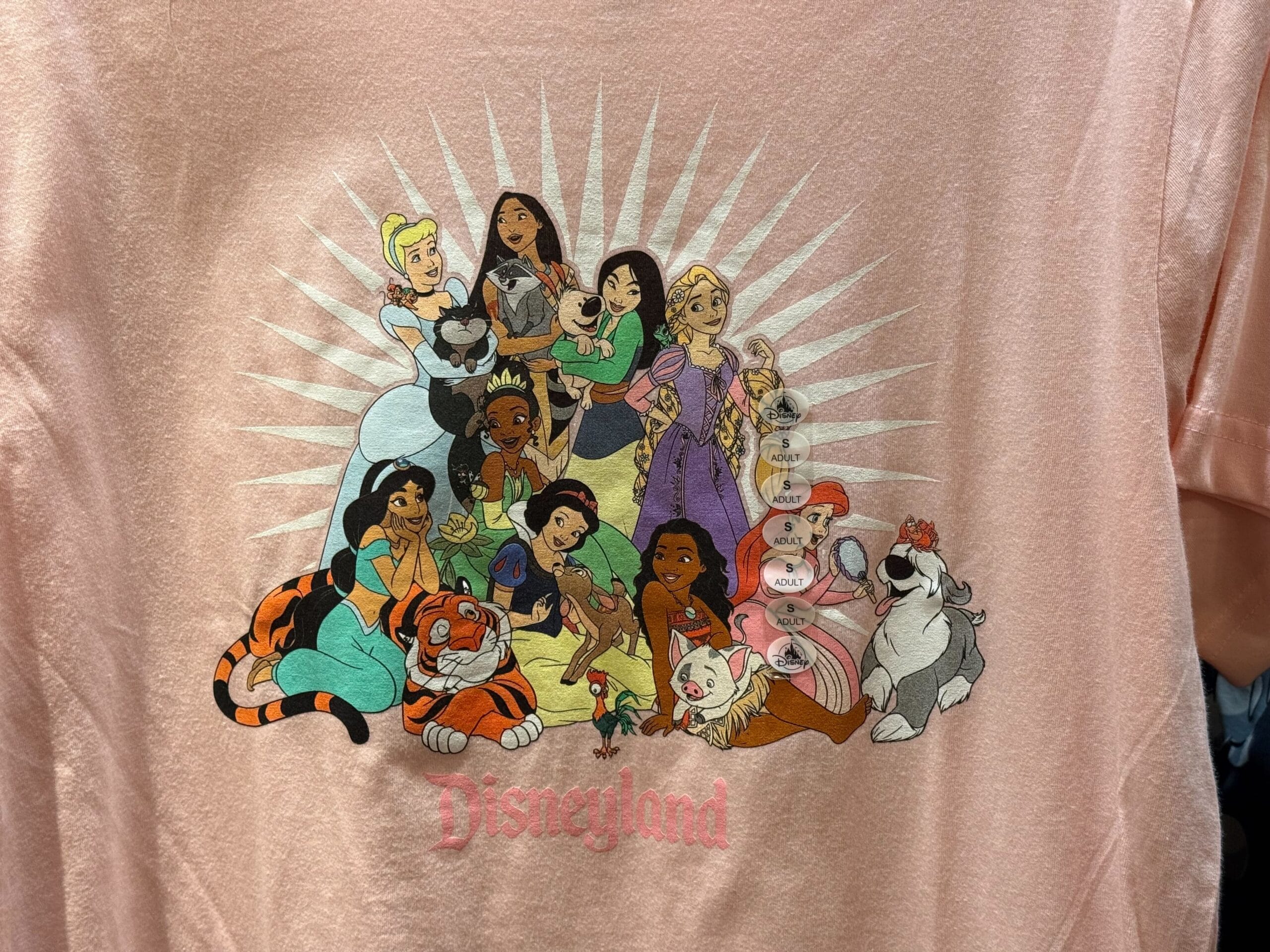Pink shirt shows Disney princesses and their animals before a sunburst, "Disneyland" below—evoking classic Disneyland park vibes.