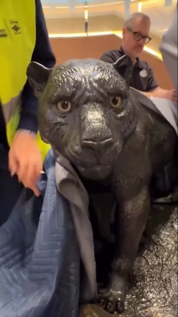 A realistic black panther statue is unveiled indoors by two people, one in a yellow safety vest—no Disney castle visible here.