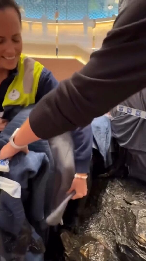 A smiling person in a safety vest hands folded blue jeans to another person indoors, possibly at a Disney park cast member event.