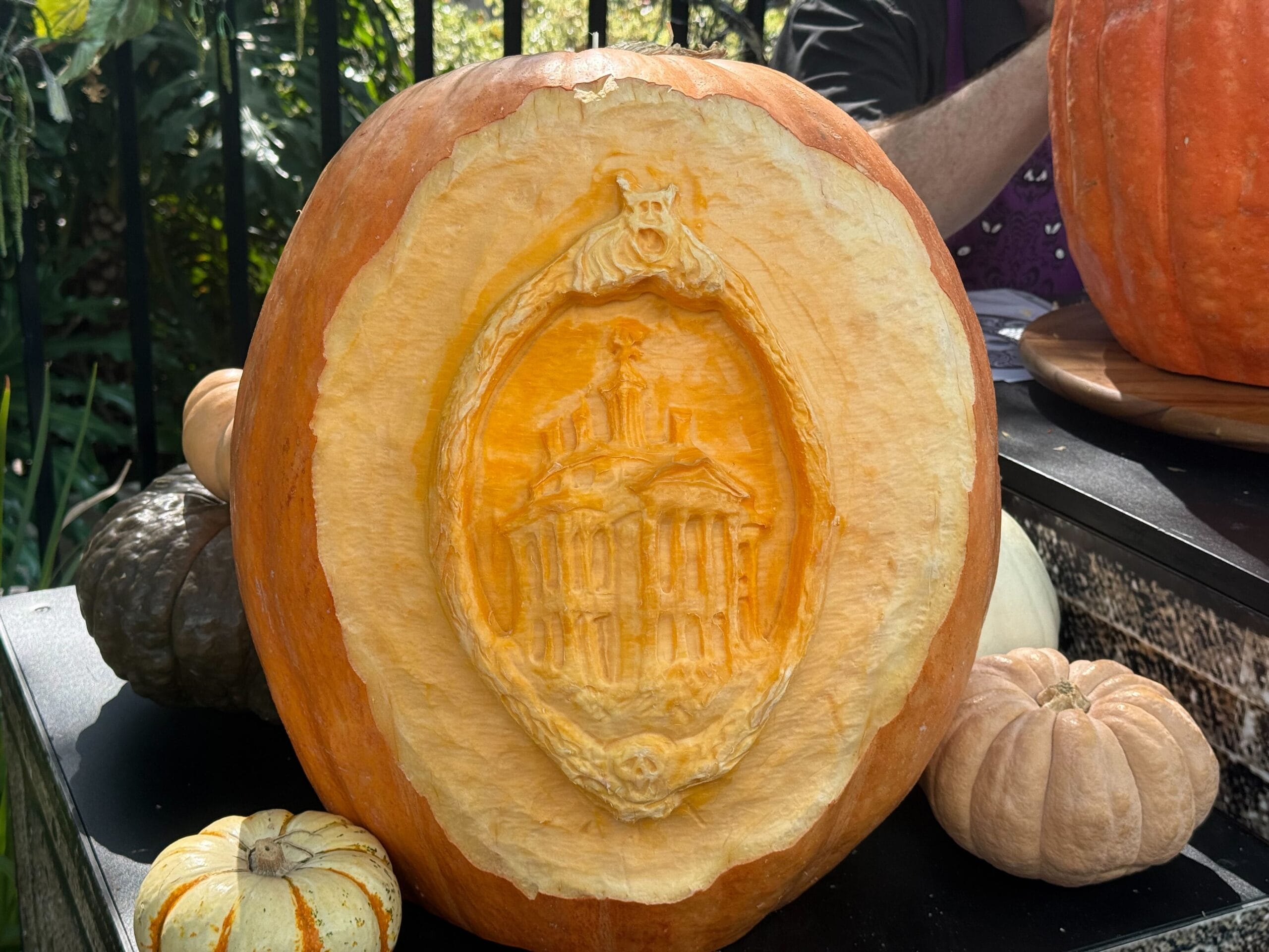A large pumpkin carved with a haunted mansion design—reminiscent of Disney's Haunted Mansion—plus a bat, surrounded by pumpkins.