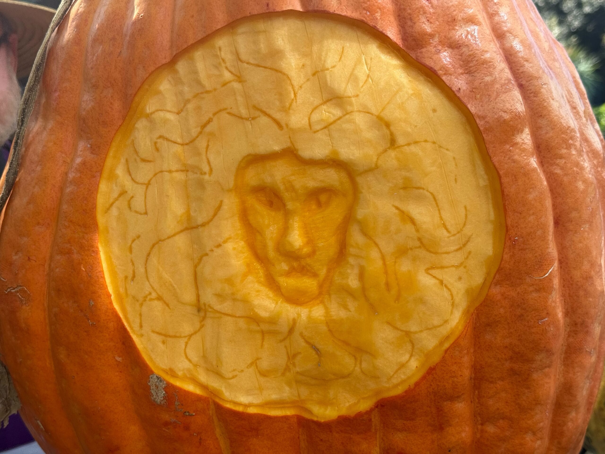 A pumpkin carved with a detailed lion face, reminiscent of Disney’s Lion King, its mane and features finely etched like park decor.