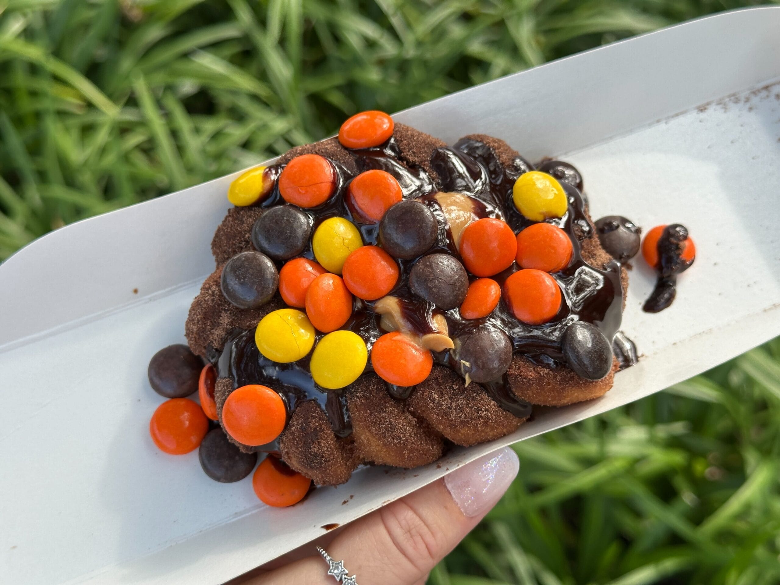 A chocolate-covered pastry topped with colorful candy pieces is held in a tray over green grass.