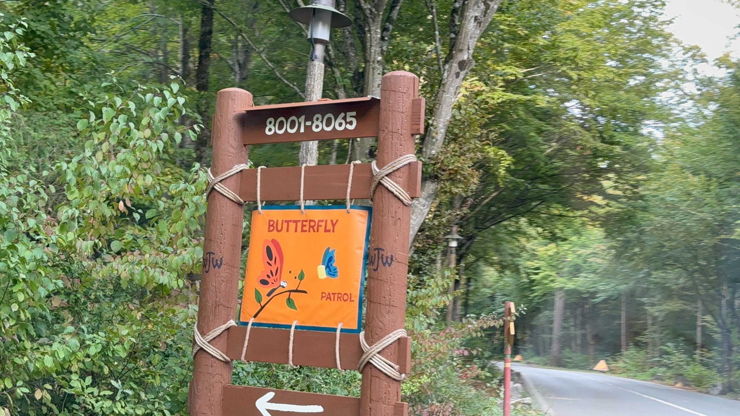 Wooden "BUTTERFLY PATROL" sign  at Davy Crockett Ranch at Disneyland Paris; arrow points left.