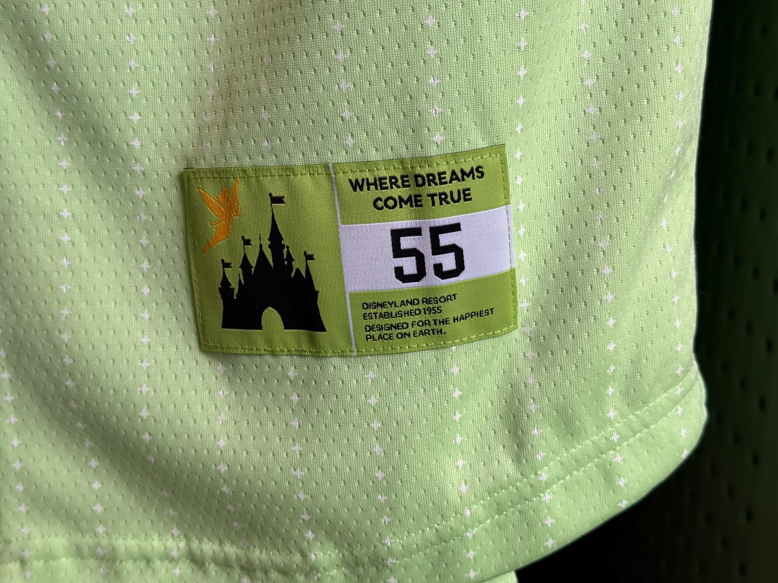 Green fabric with a patch showing Disneyland castle, Tinkerbell silhouette, "WHERE DREAMS COME TRUE," "55," and Disneyland Resort text.
