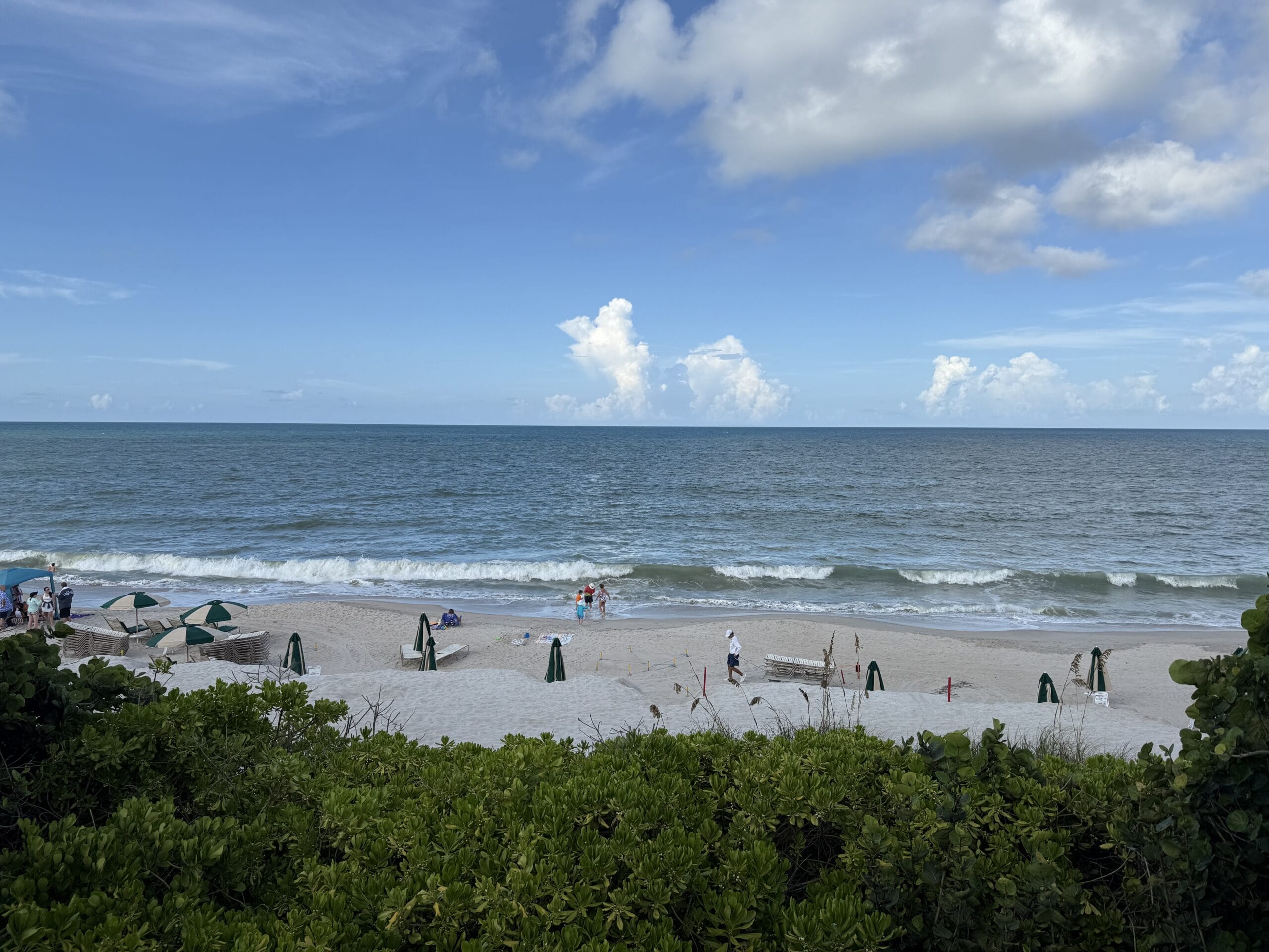 Sandy beach at Disney's Vero Beach Resort, umbrellas and ocean waves, lush plants, blue sky—no castle like in Disney Parks.