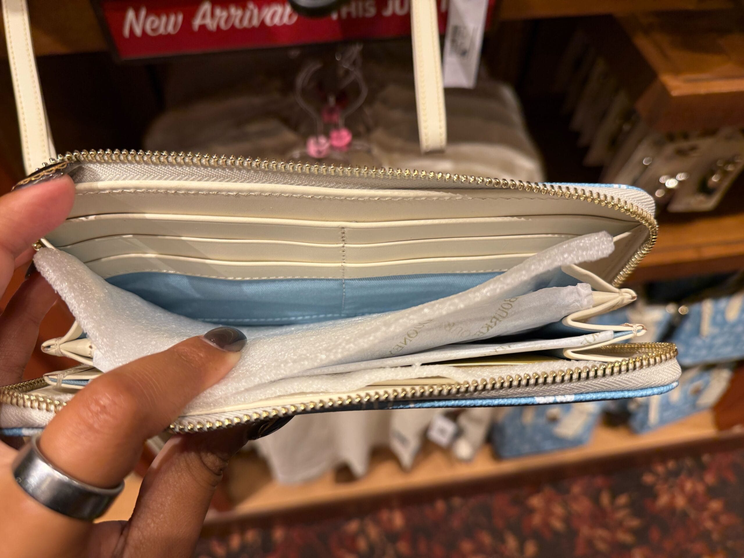 A hand opens a wallet near Disneyland, showing empty card slots and white foam—no tickets or DVC cards, just like missing castle magic.