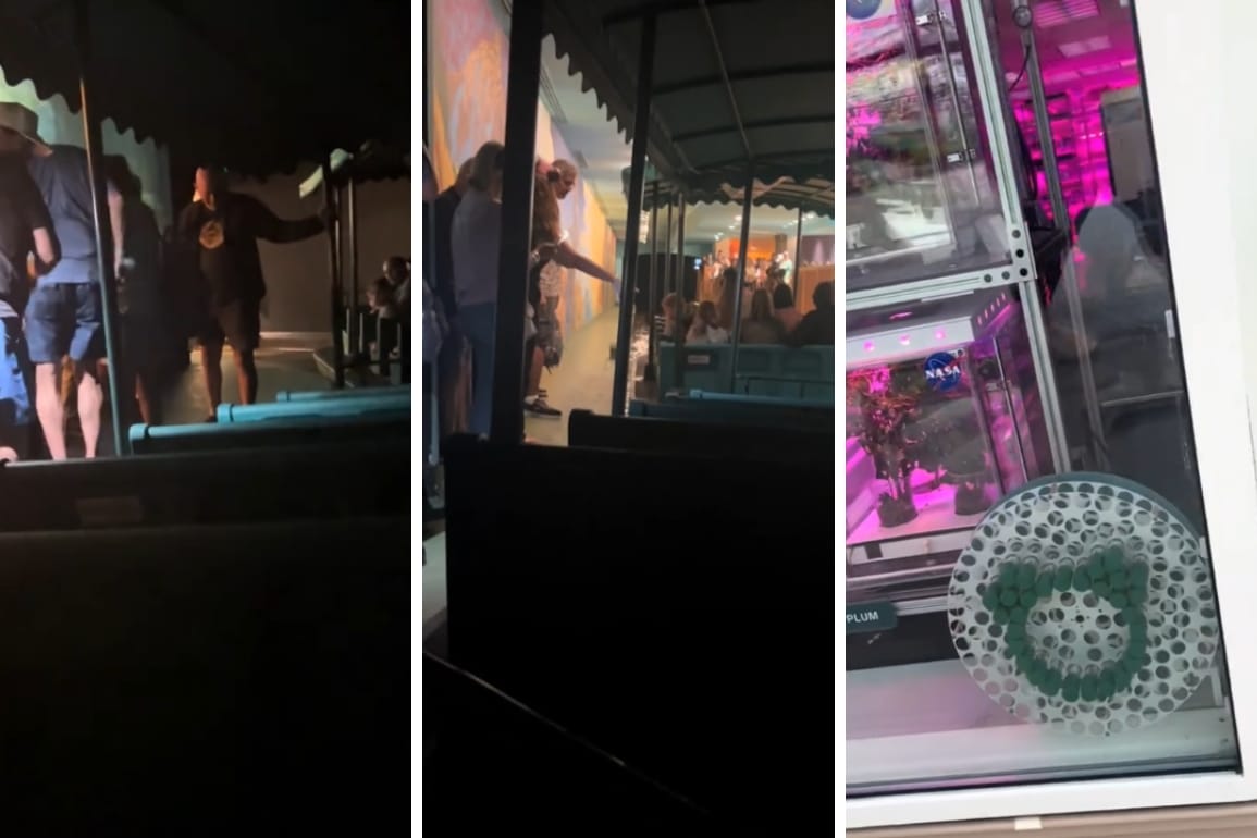 Inside EPCOT, guests cruise a dimly lit boat ride past glowing pink hydroponic gardens, while others wait outside in line.