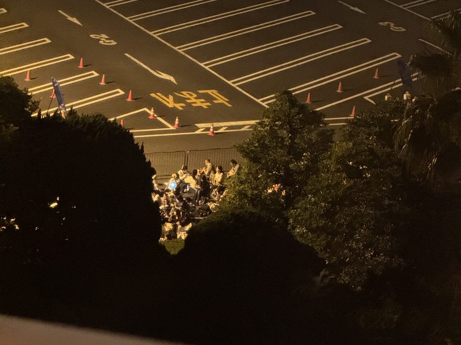 At night, a group stands by cone-lined, yellow-marked parking at Tokyo Disney Resort—no castle like Cinderella’s or Sleeping Beauty’s seen.