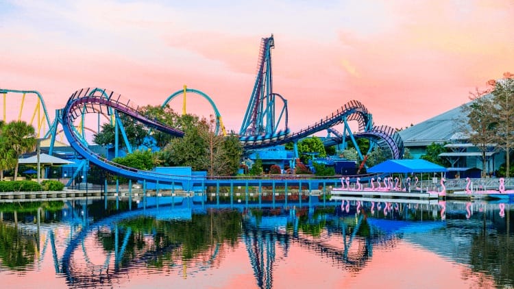 A looping blue Mako Coaster reflected in a calm lake at sunset, with pink clouds—unlike any Disney castle skyline—at SeaWorld.