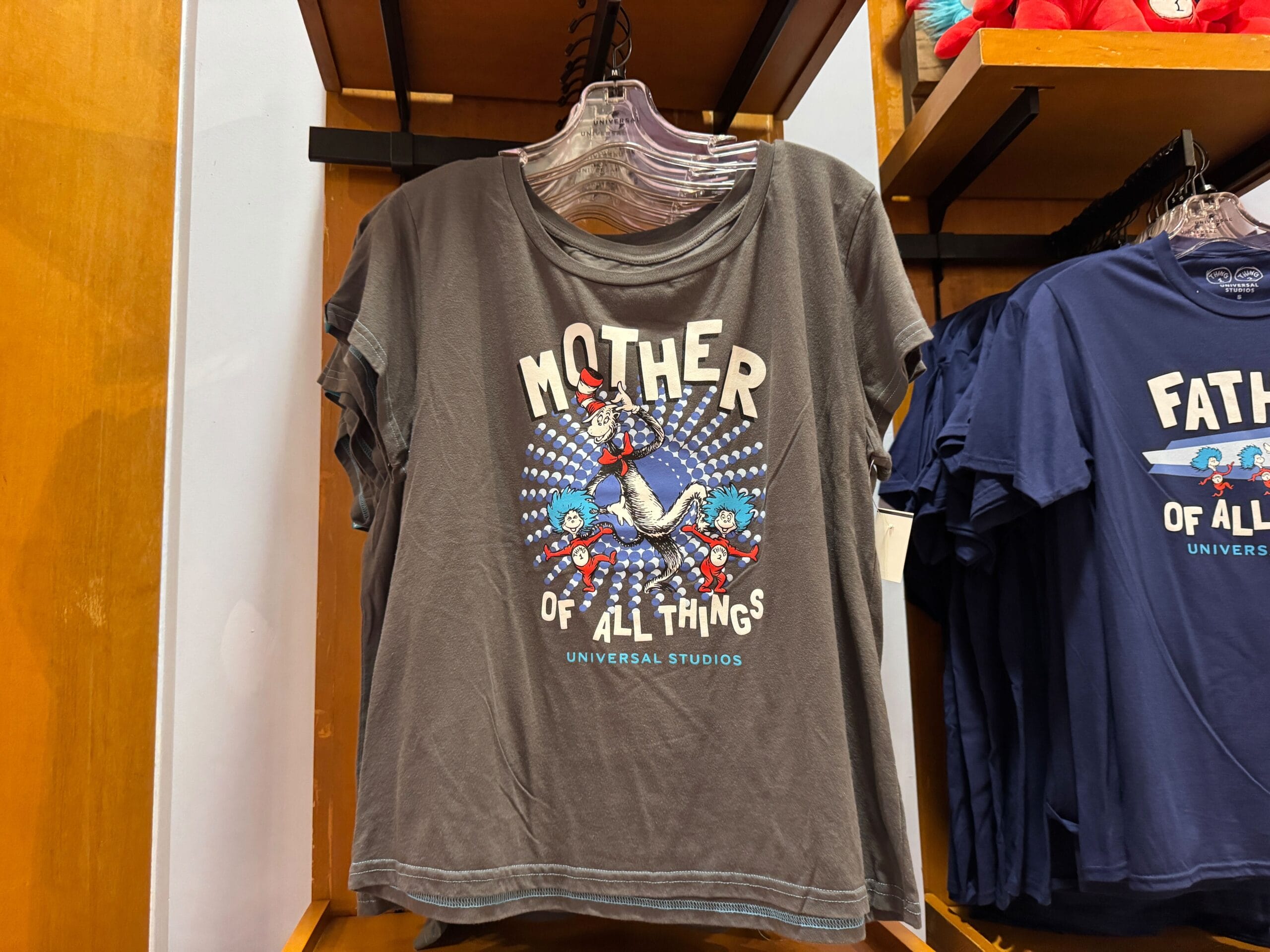 Gray "Mother of All Things" T-shirt featuring Thing 1 and Thing 2, seen at Universal Studios—not Disney Parks like Magic Kingdom.