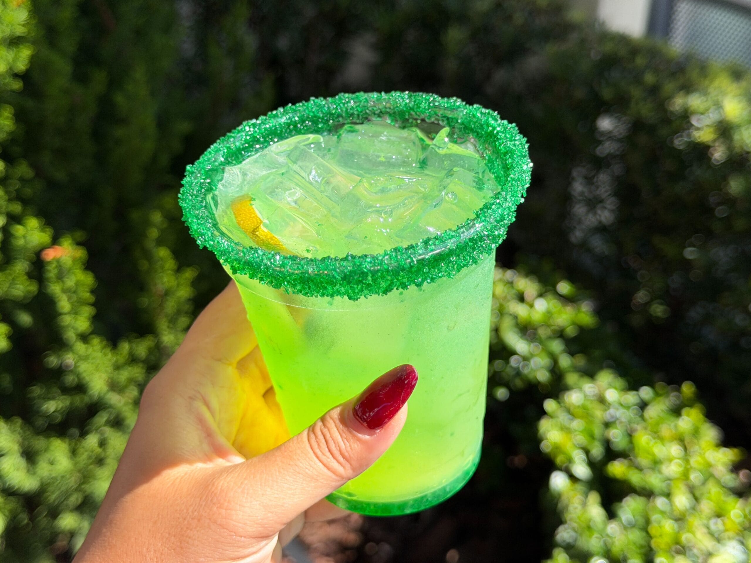 A hand with red nails holds a green drink with ice and a green sugar rim, enjoying the sunny Disney park gardens.