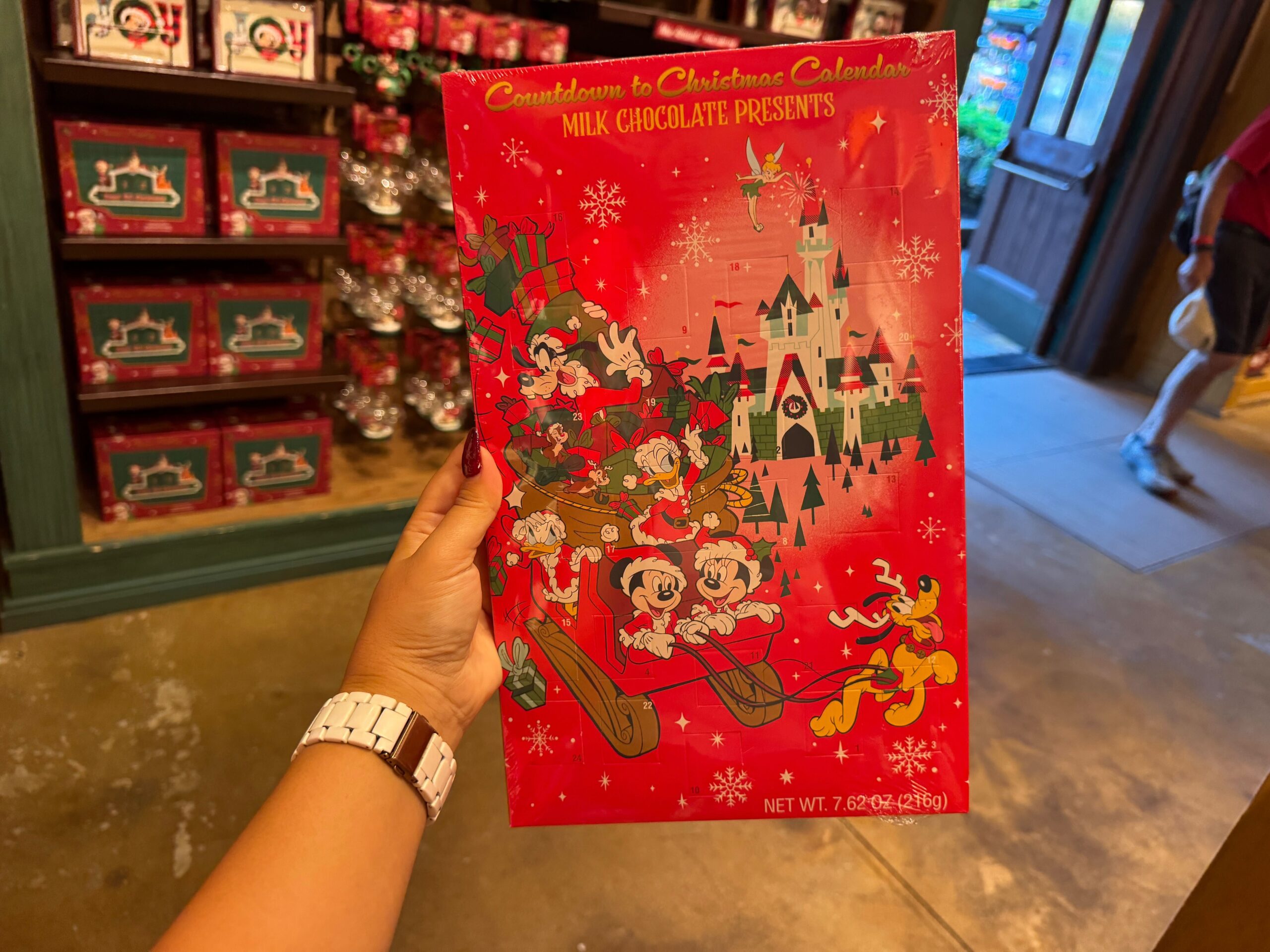 Hand holding a 2025 Disney advent calendar with Mickey, Minnie, Goofy, and more in front of the Walt Disney World castle.