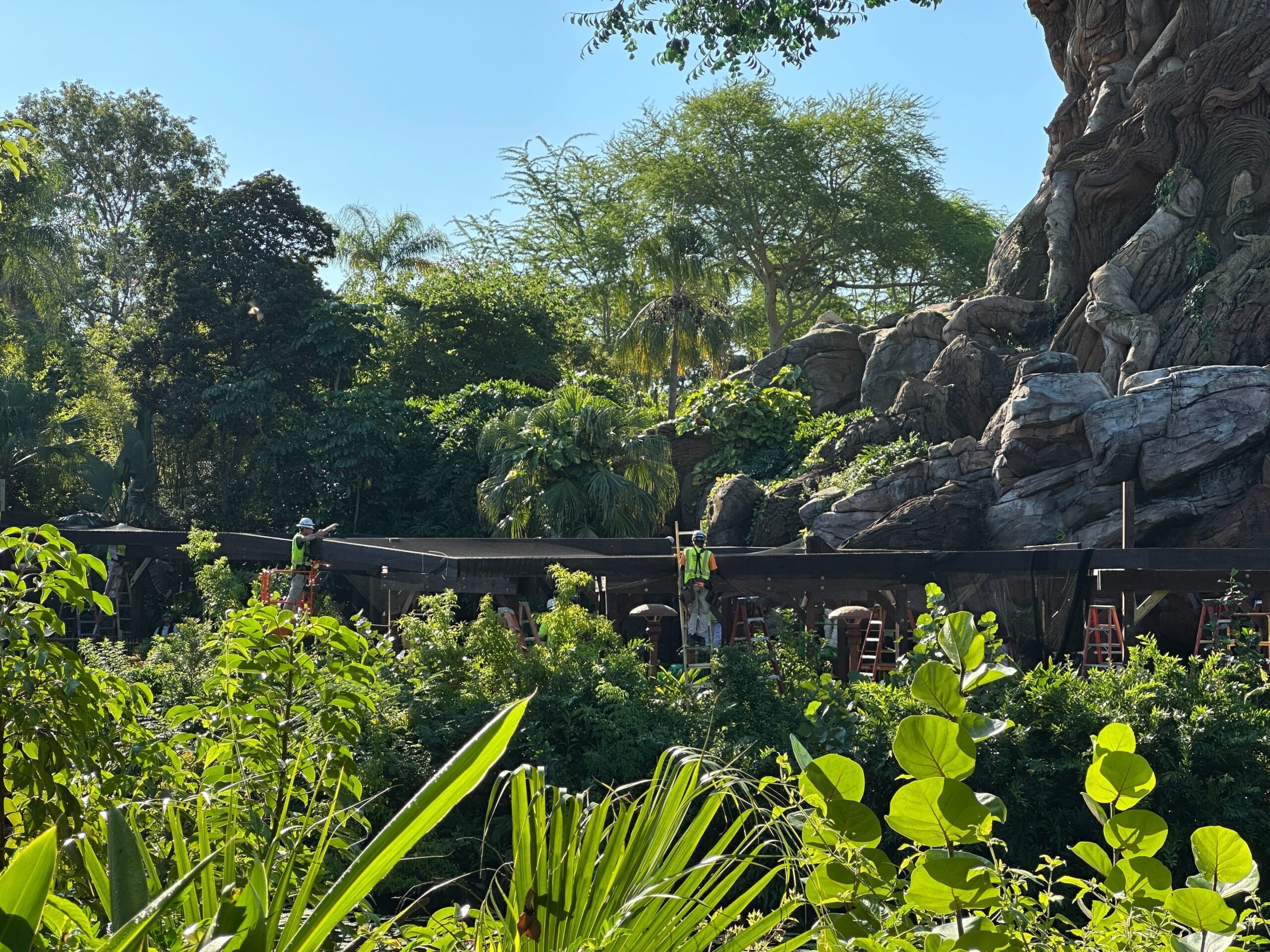 Workers in green vests set up Better Zoogether Show signs on rocky scenery with lush greenery, reminiscent of Animal Kingdom.