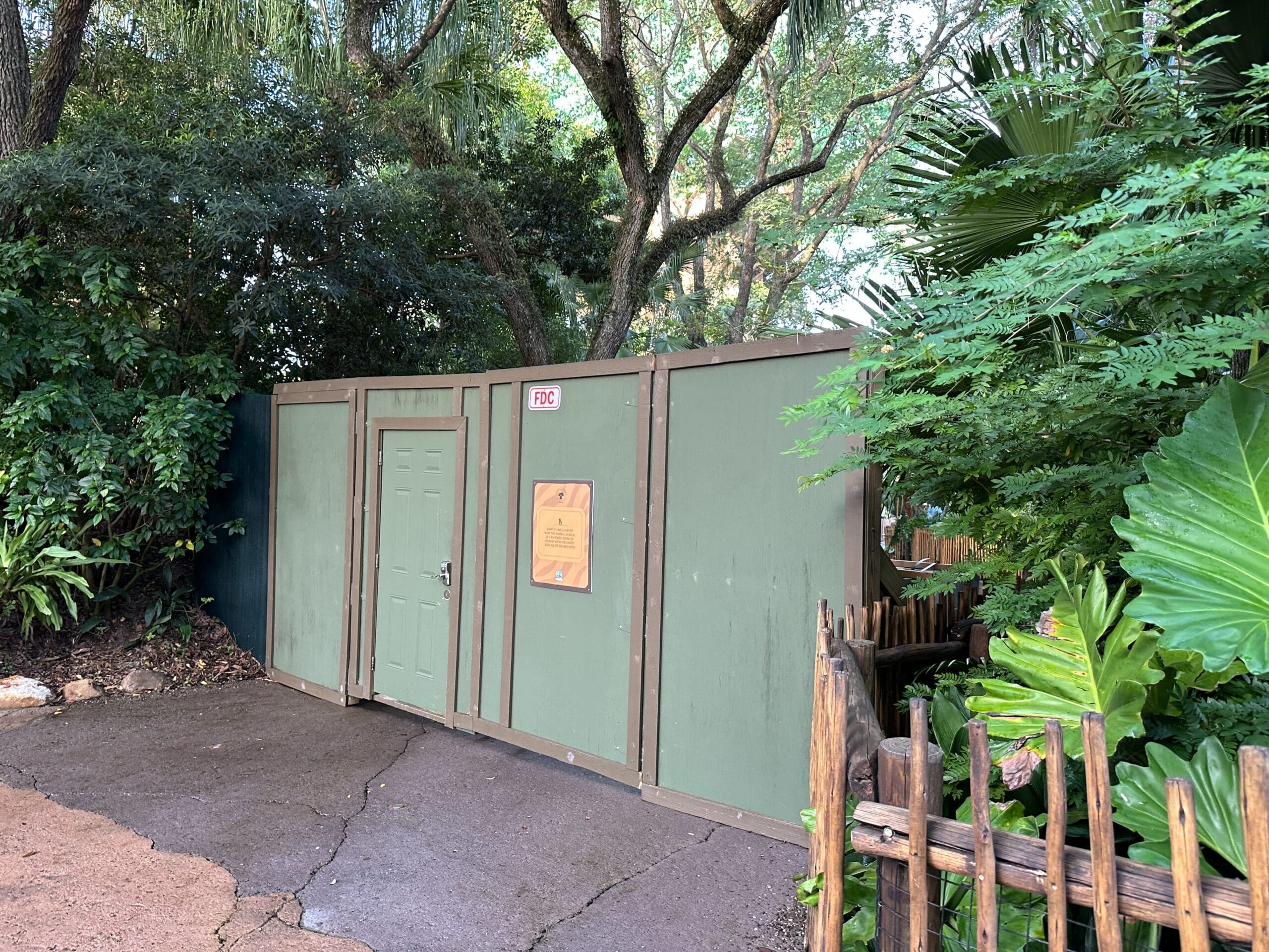Green construction wall with a door and sign, near trees on a paved pathway in Animal Kingdom.