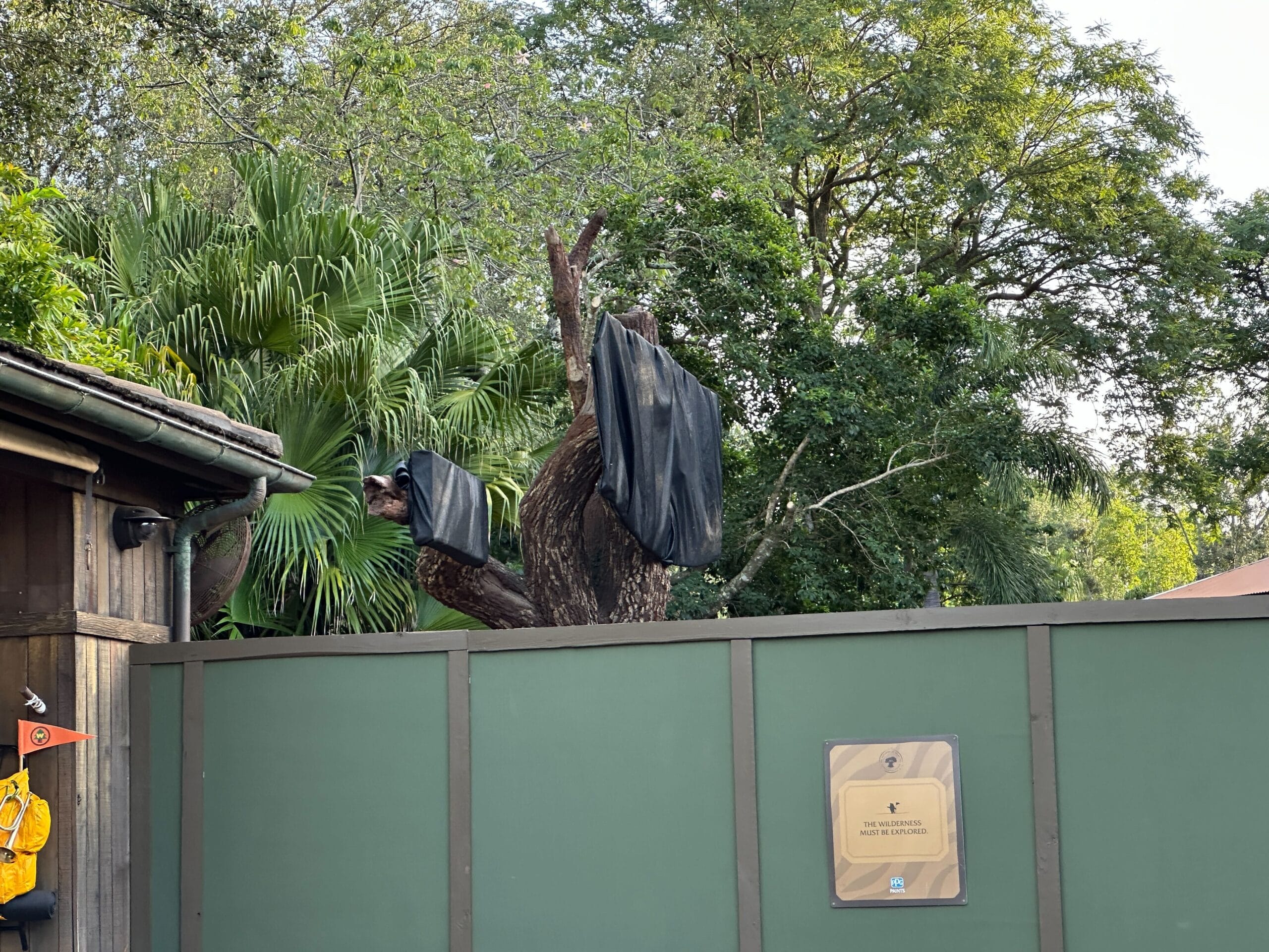 A tree with cut branches in Animal Kingdom, wrapped in black plastic behind a green fence, surrounded by lush greenery.