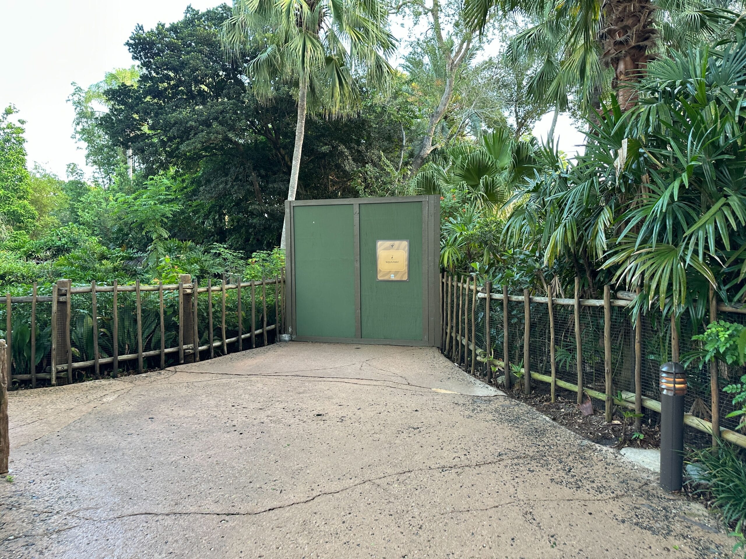 A green construction wall blocks a pathway in Animal Kingdom, surrounded by lush tropical plants and trees.