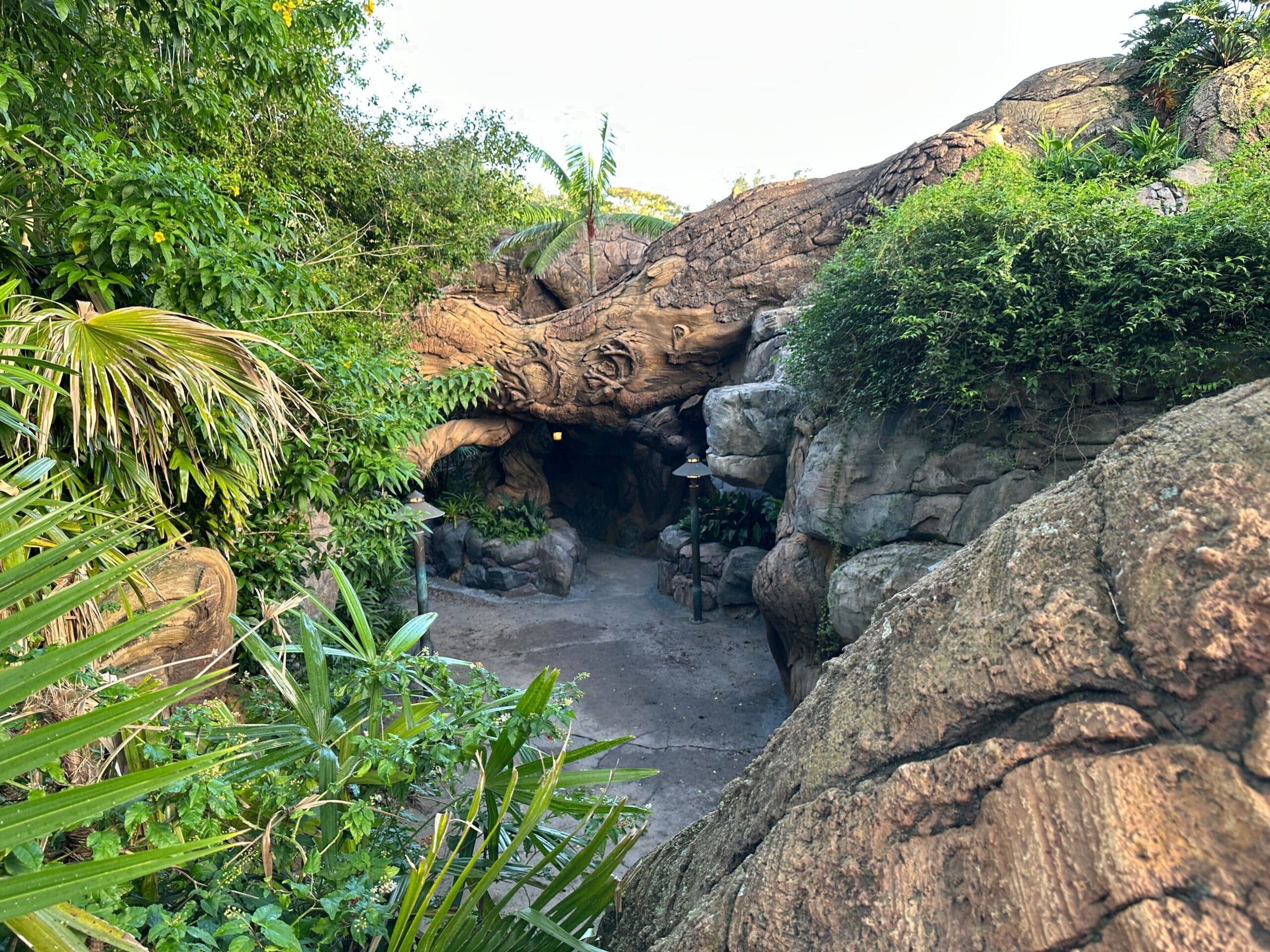 A path leads to a cave-like opening beneath the Show Marquee of a large artificial tree in Animal Kingdom.