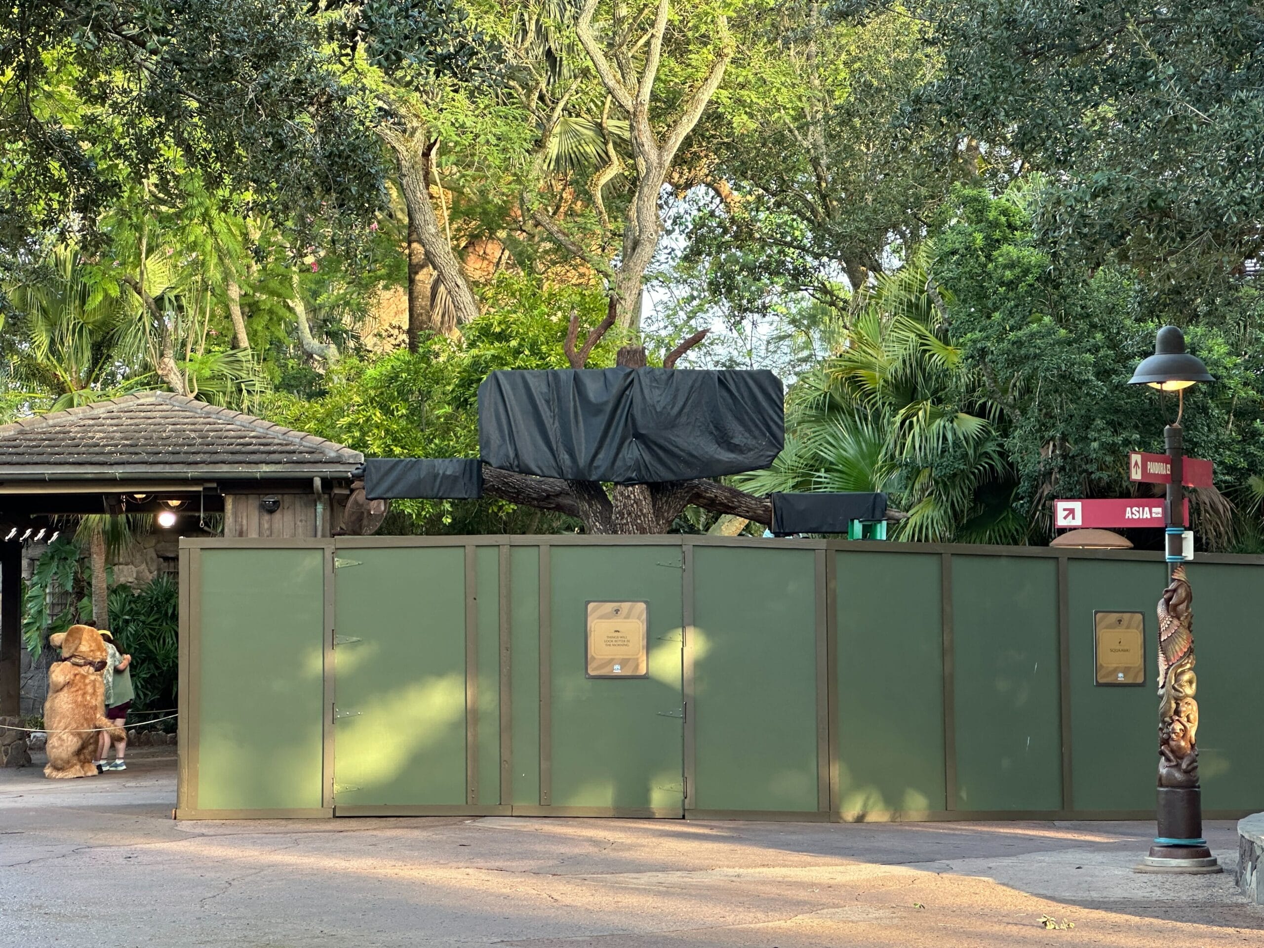 Green construction walls block an outdoor area at Animal Kingdom; a sign points to the Zootopia section.