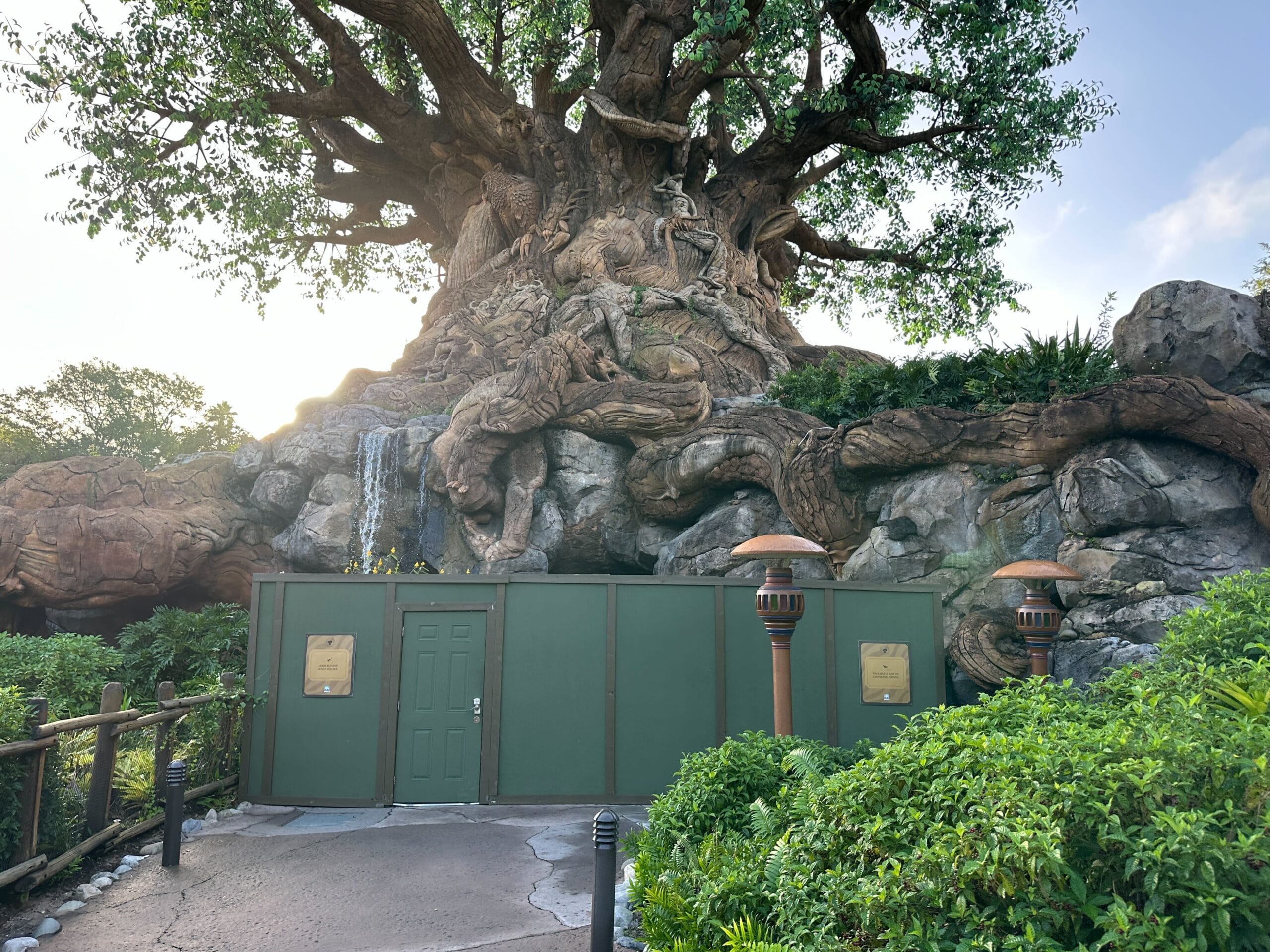 The Tree of Life at Animal Kingdom behind construction walls, surrounded by greenery under a blue sky.