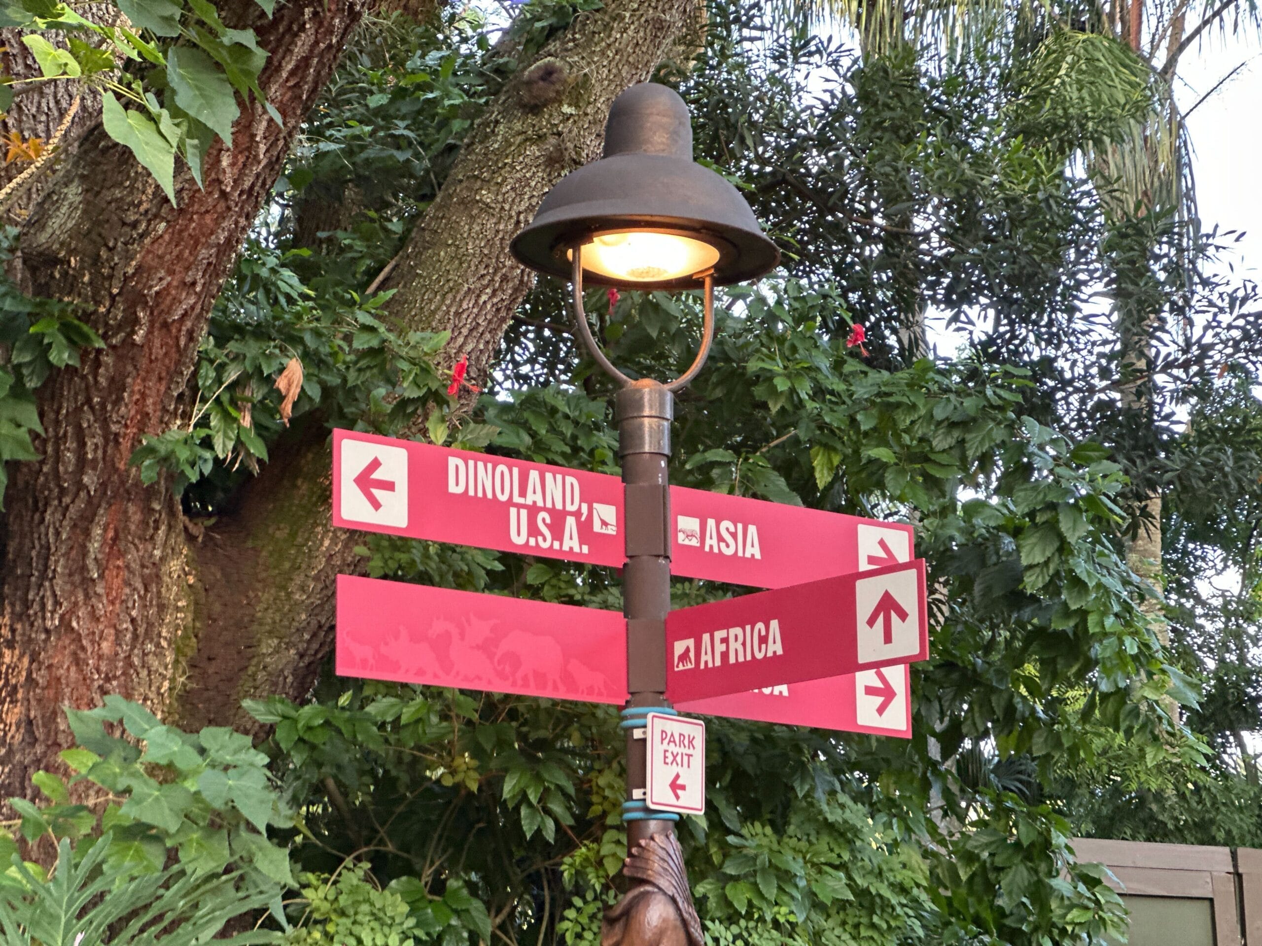 A lamp post with pink signs to Dinoland U.S.A., Asia, and Africa in Animal Kingdom, surrounded by lush green trees.