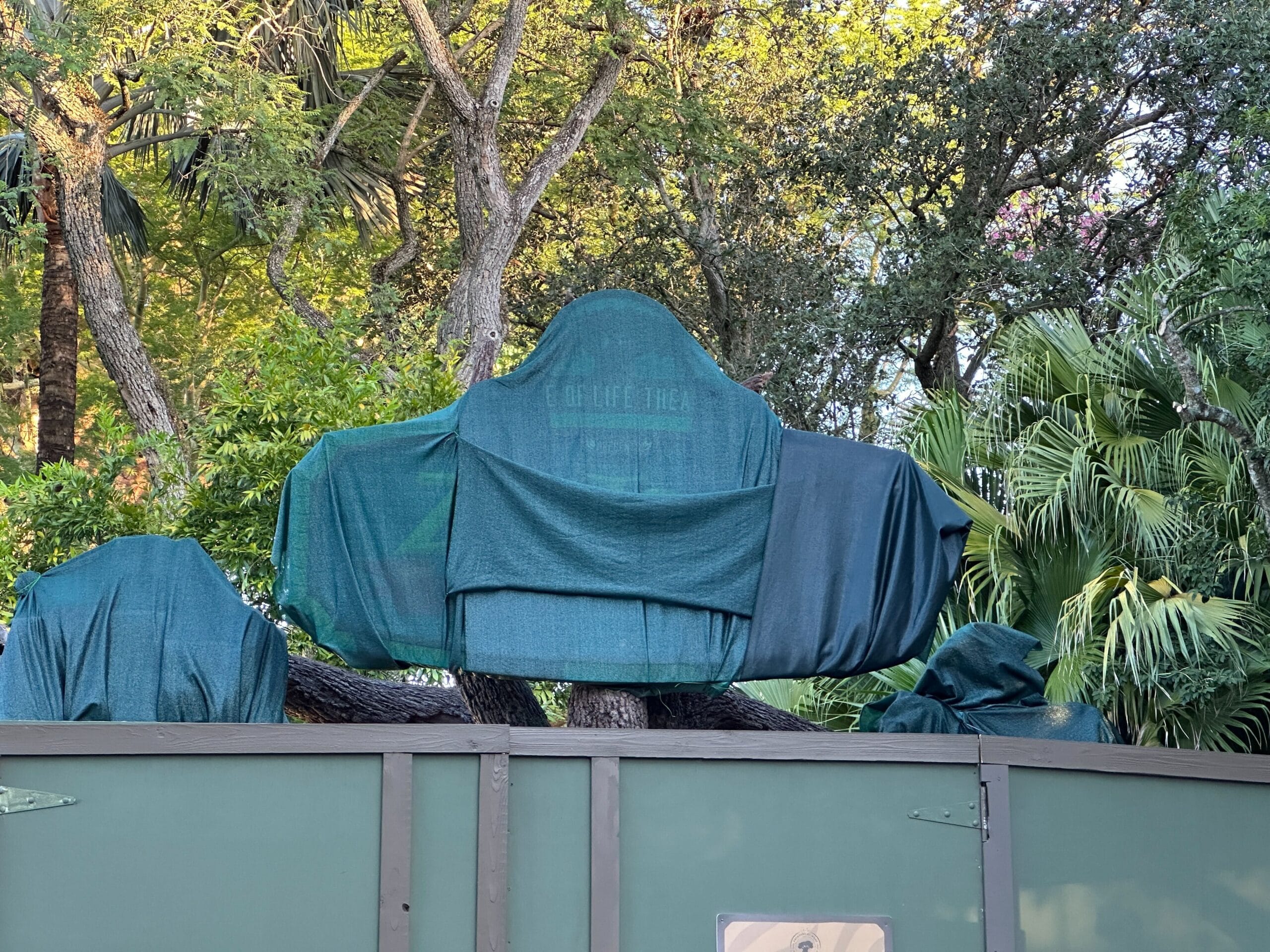 Massive Zootopia trees rise above lush real plants behind Animal Kingdom fences, reminiscent of immersive Disney park landscapes.